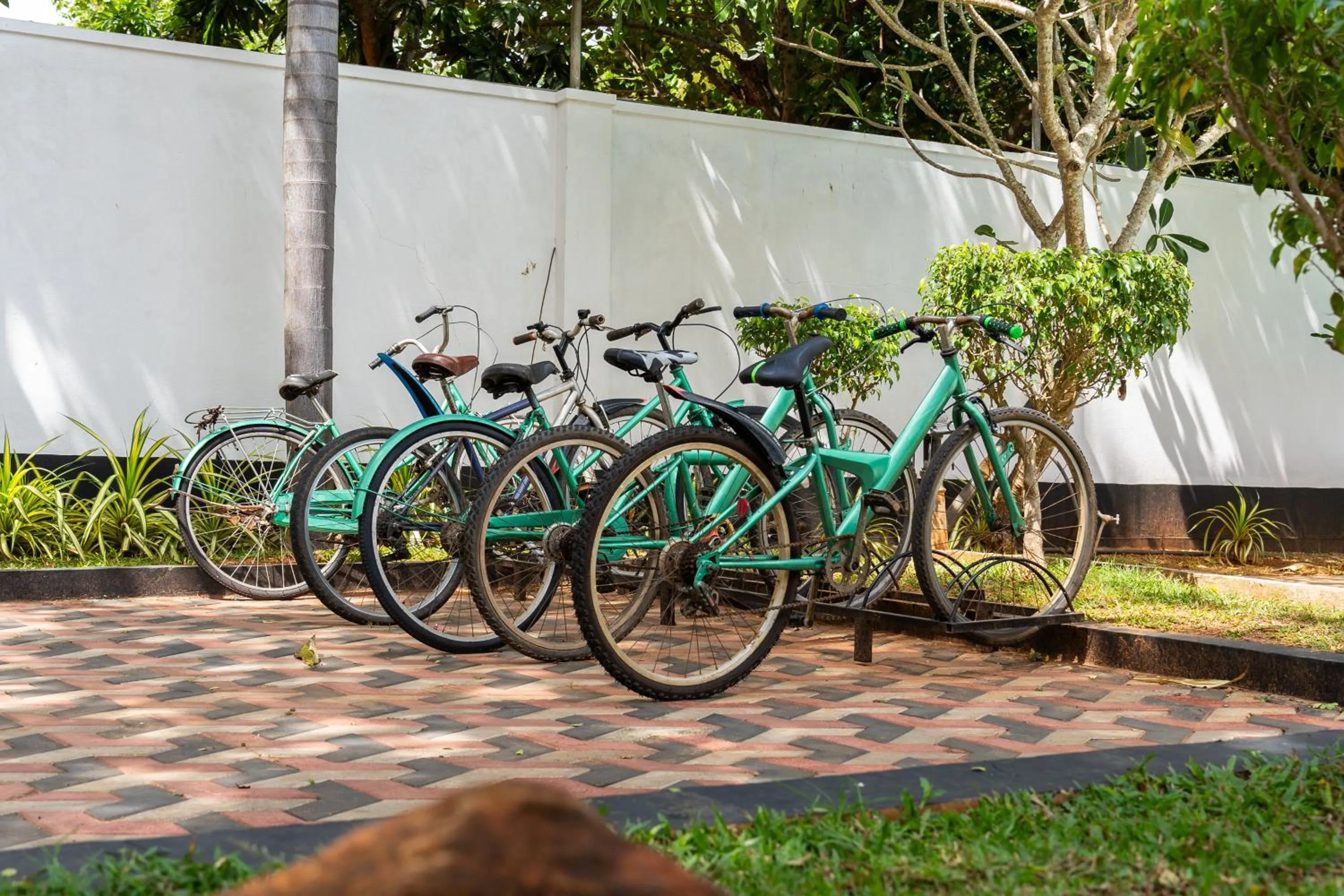 Cycling in Yala Hotel Elephant Eye