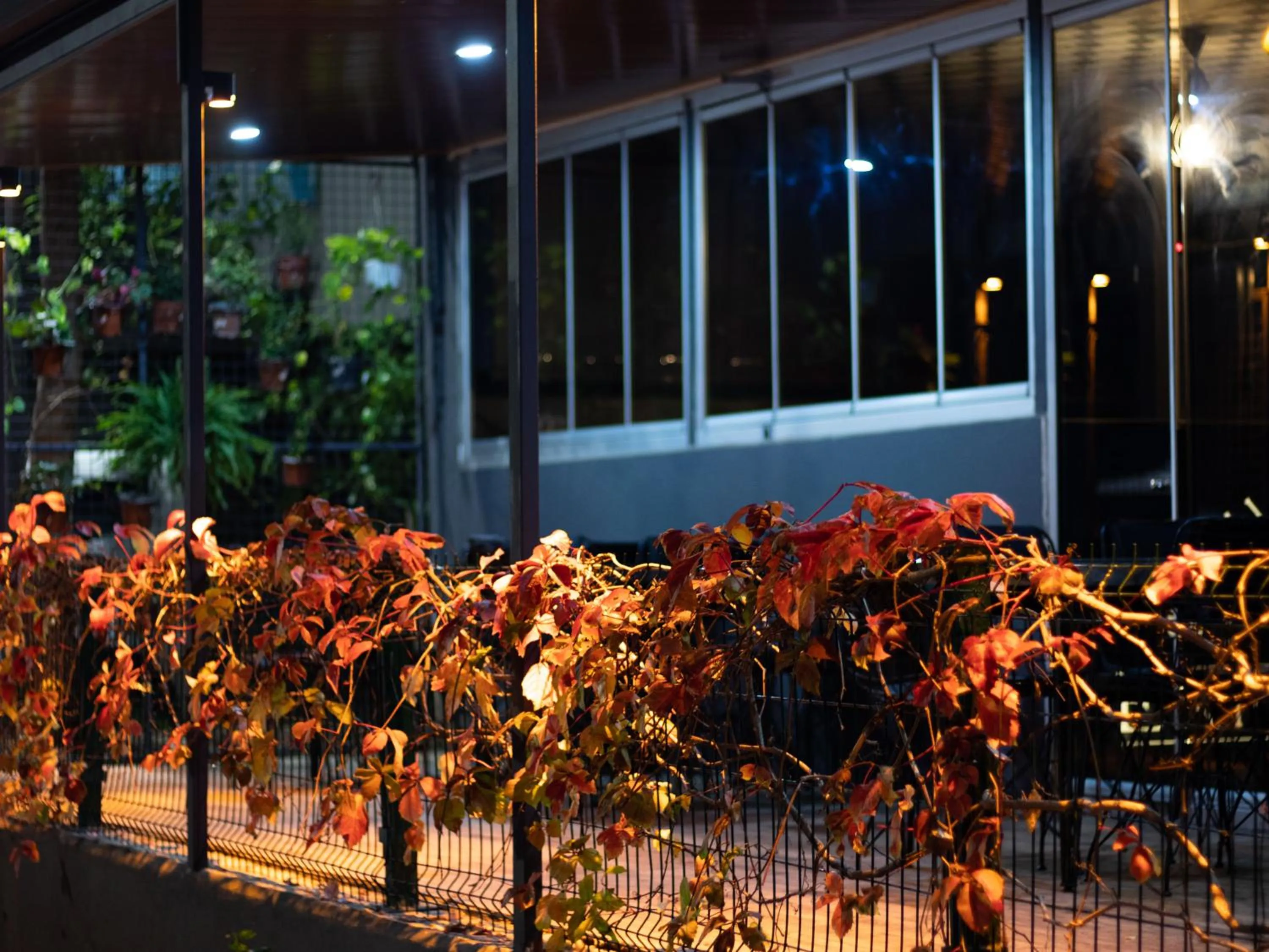 Patio in Exporoyal Hotel