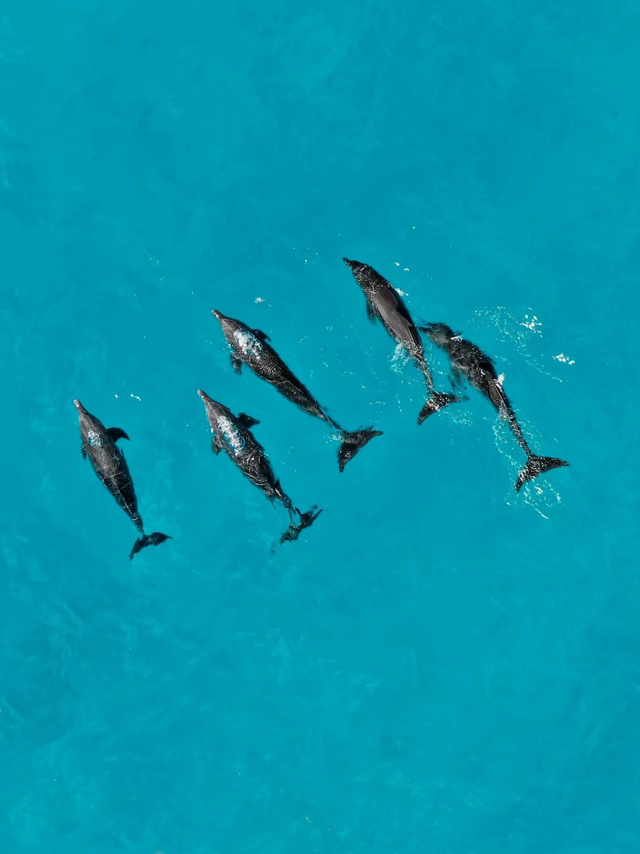 Activities in Shallow Lagoon Rasdhoo