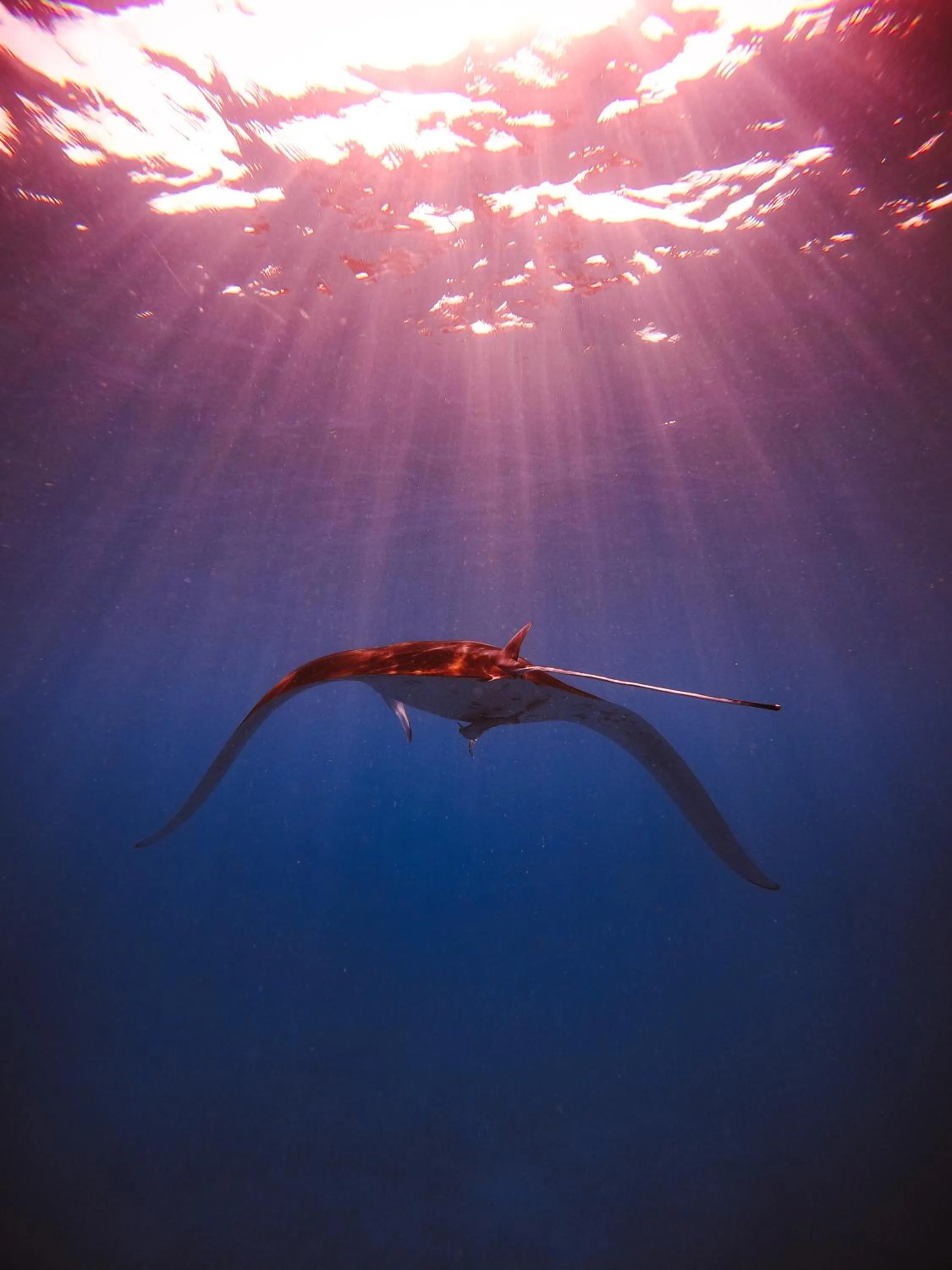 Activities in Shallow Lagoon Rasdhoo