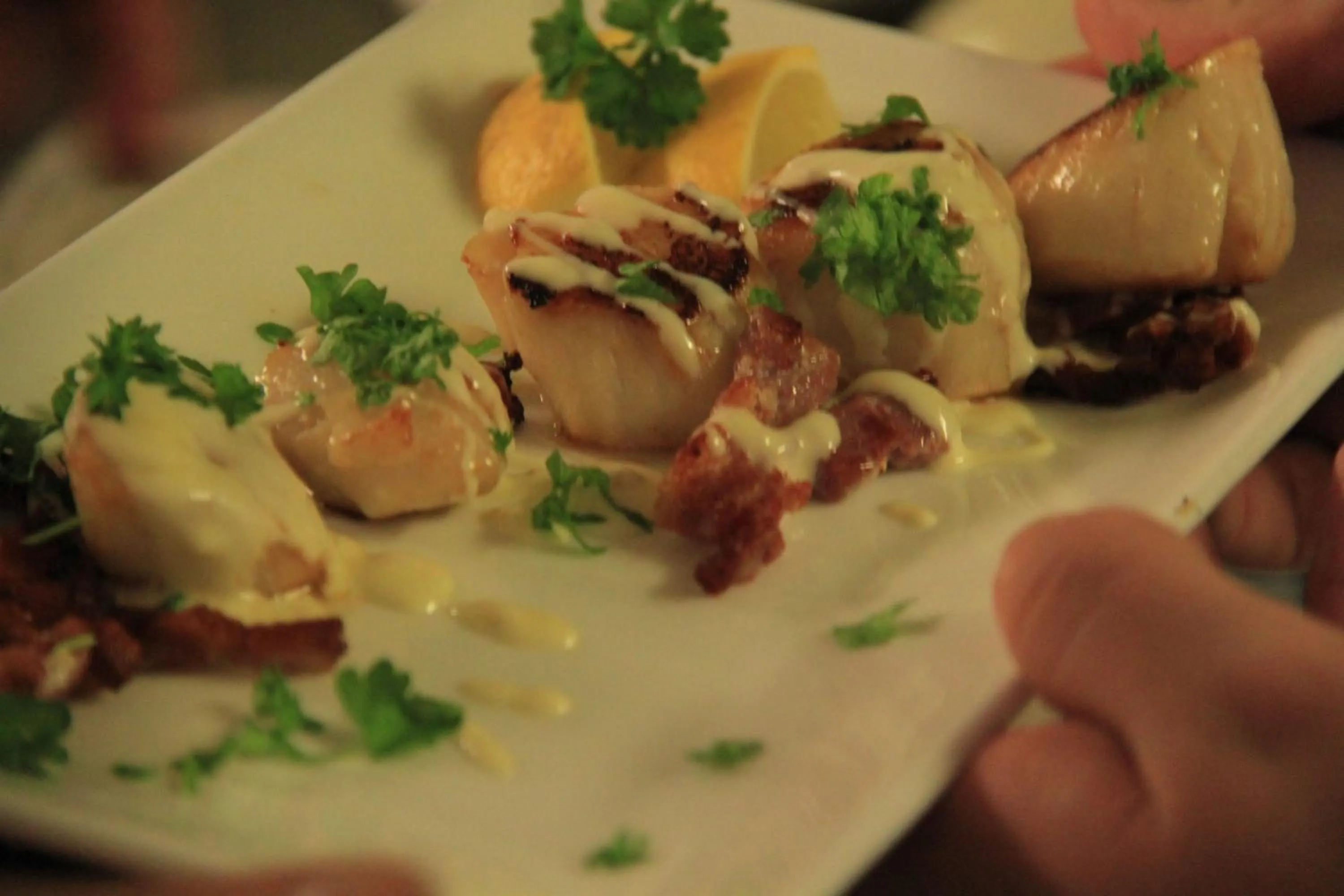 Restaurant/places to eat in Annandale Arms Hotel