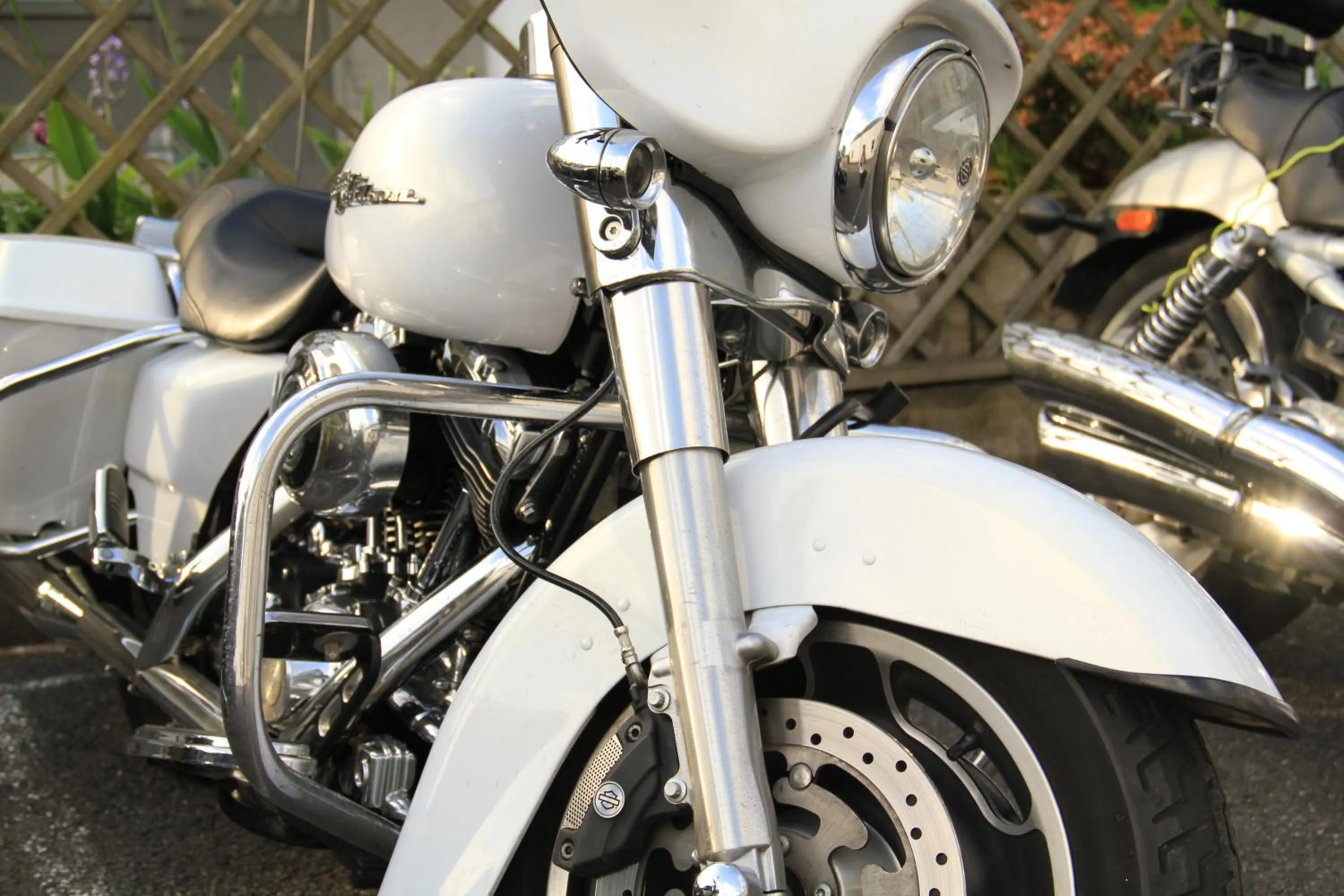 Diving in Annandale Arms Hotel