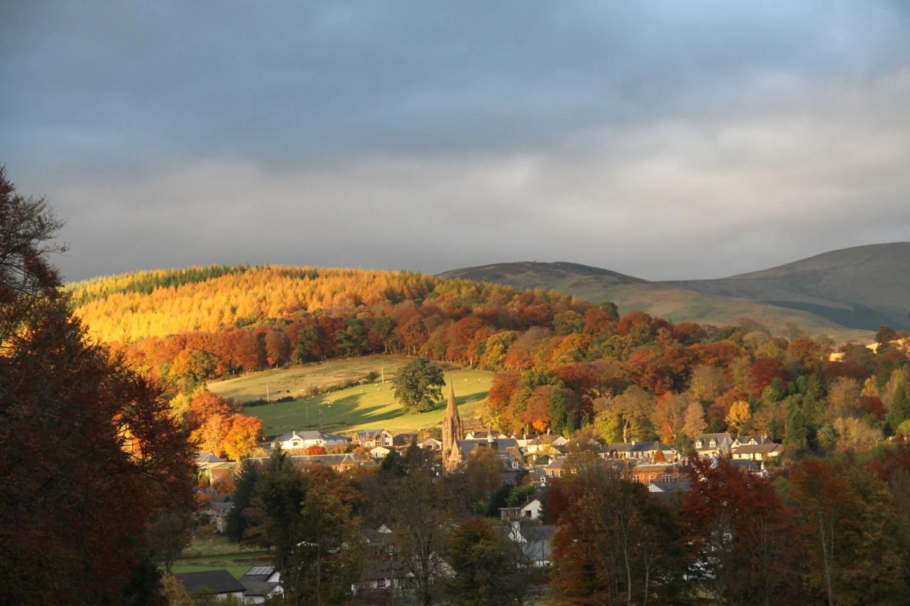 View (from property/room) in Annandale Arms Hotel