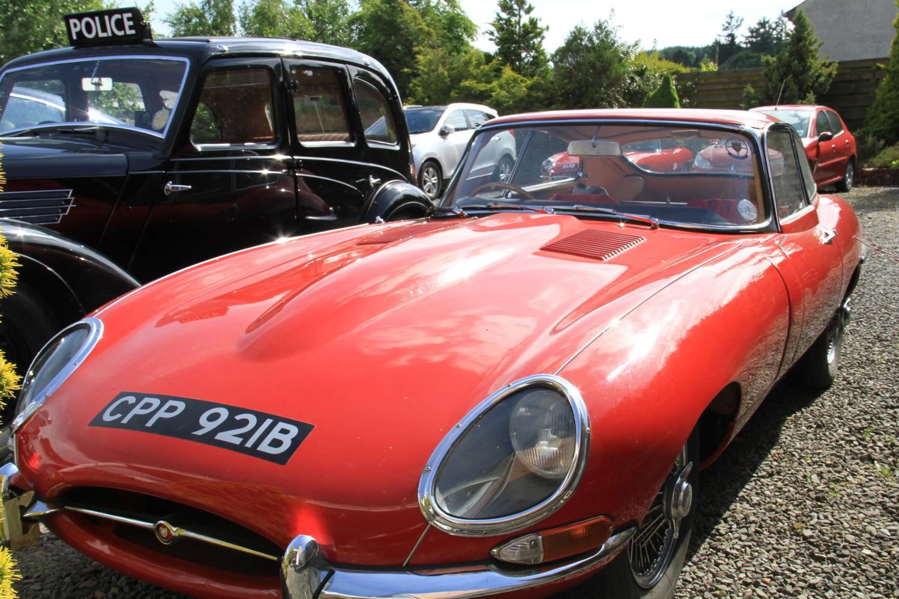 Diving in Annandale Arms Hotel