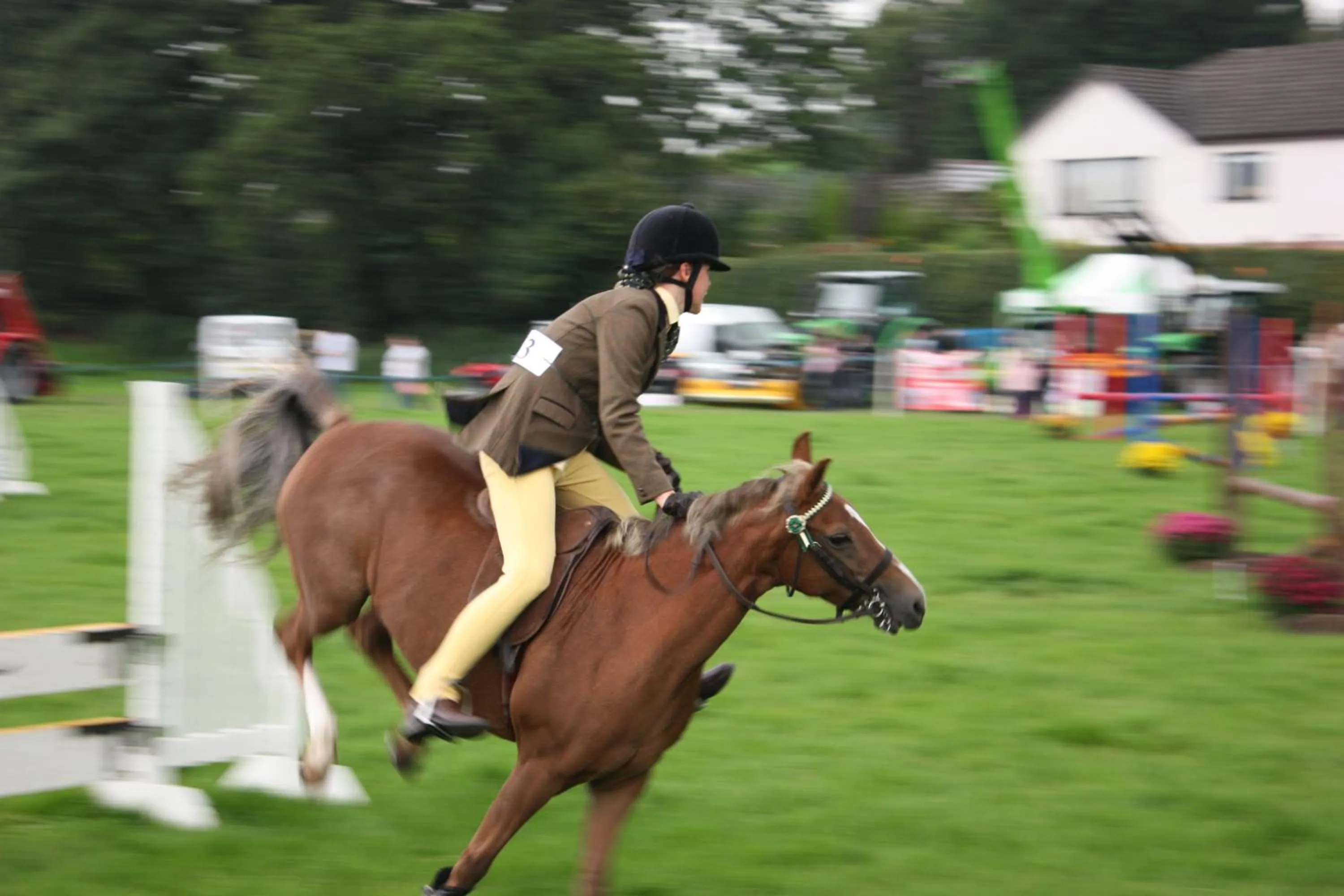 Horse-riding in Annandale Arms Hotel