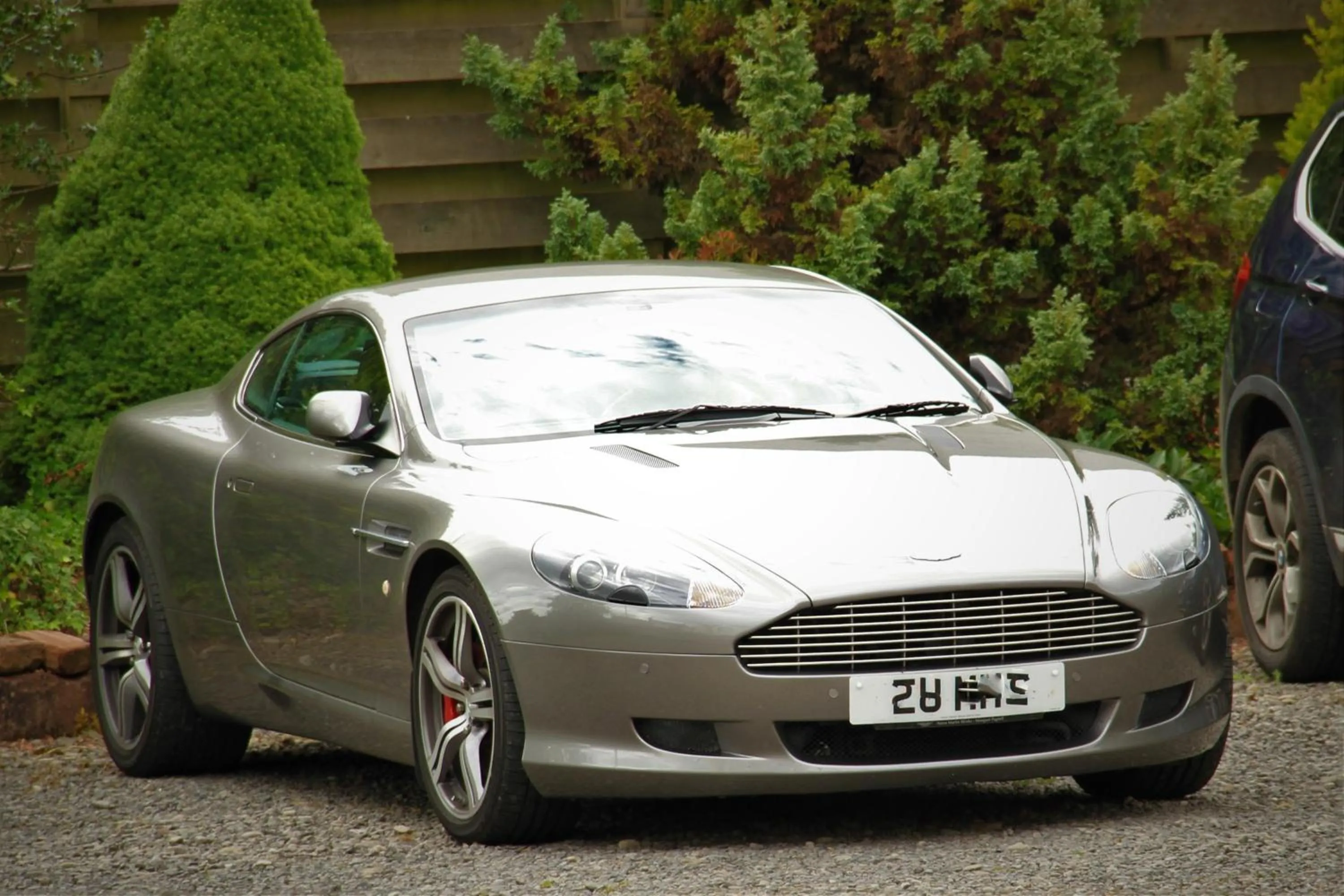 Diving in Annandale Arms Hotel