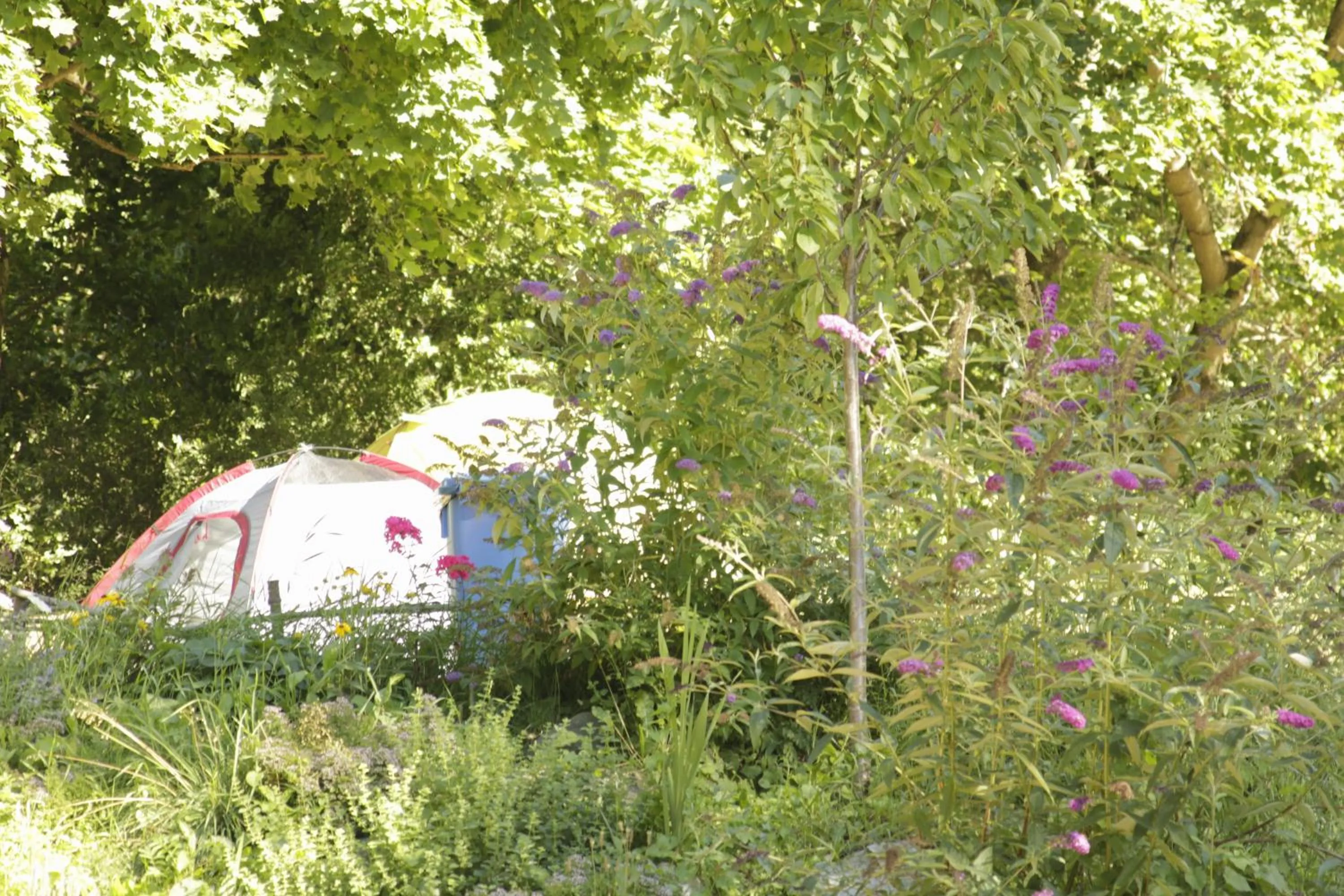 THE TENT - Youth Only - Buchung leider nur bis 30 Jahre möglich!