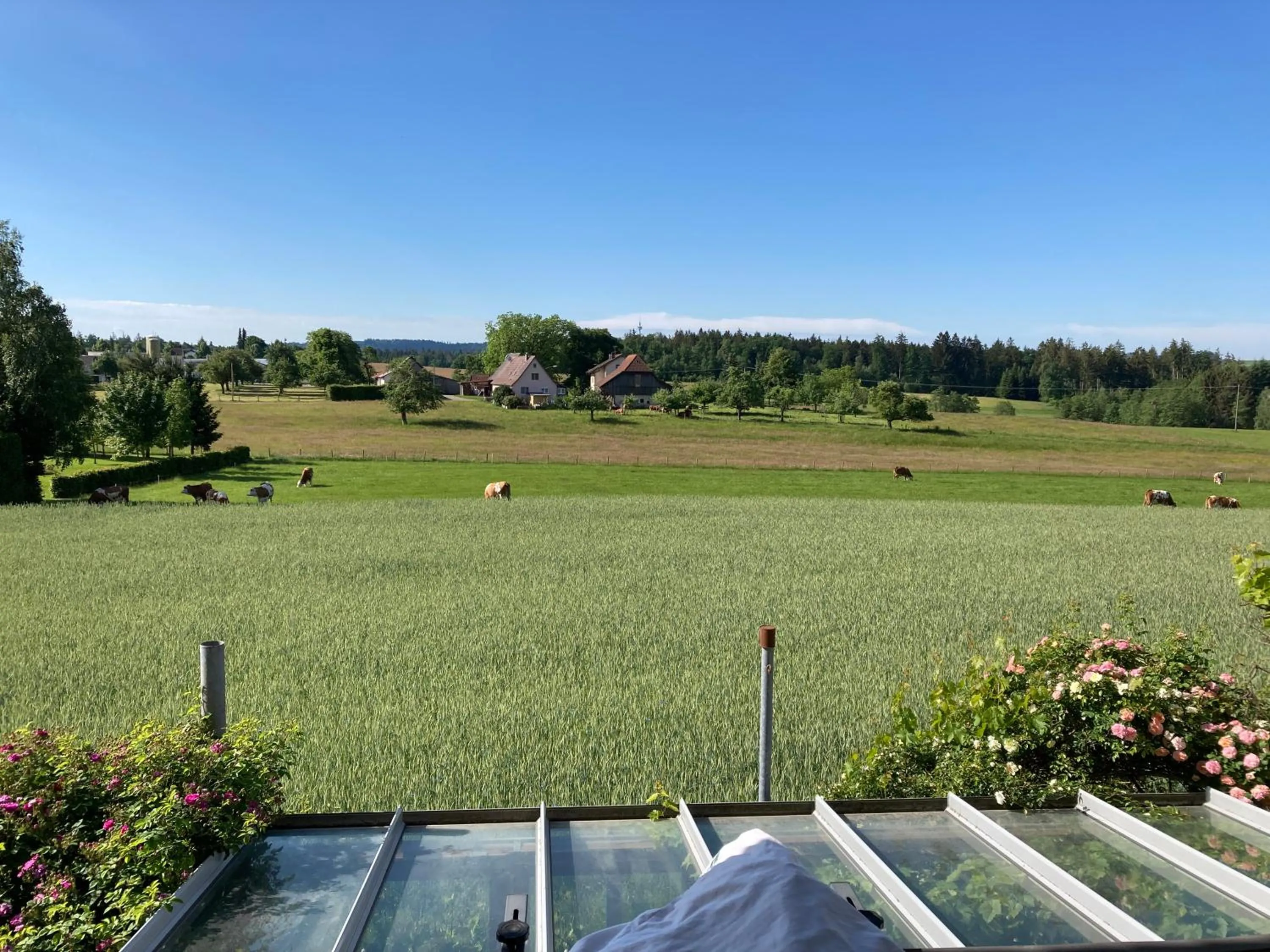 Hotel-Pension-Waldblick