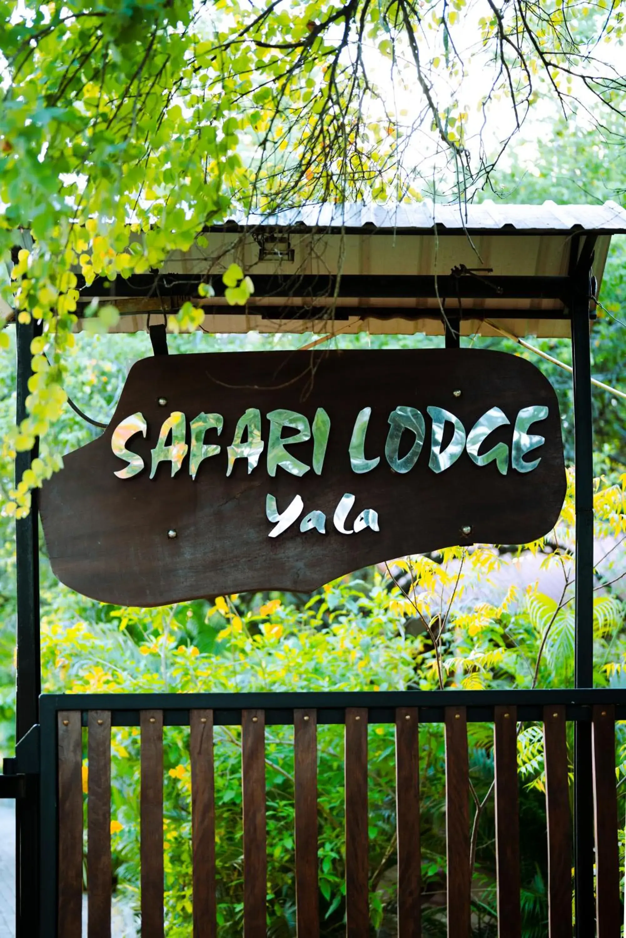 Safari Lodge Yala Safari Lodge Yala
