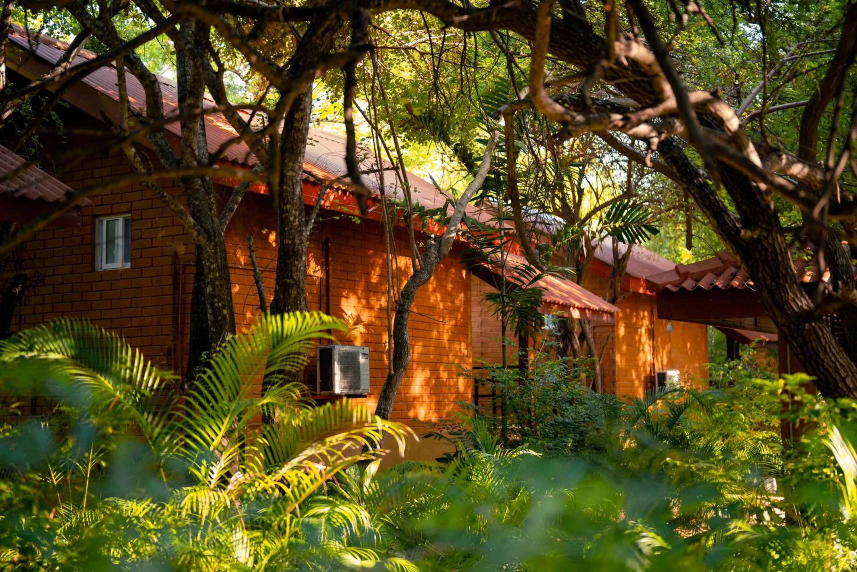 Safari Lodge Yala