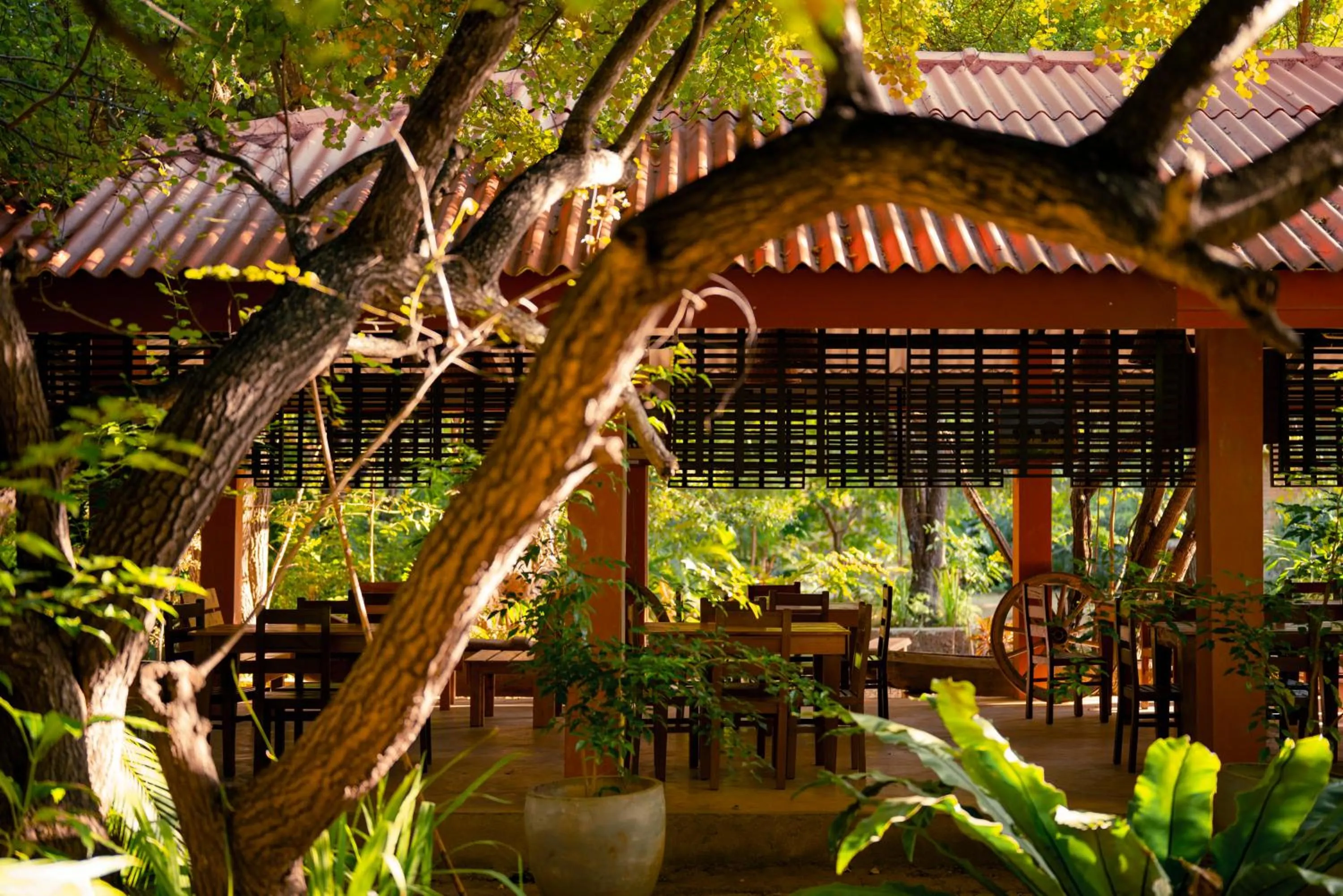 Safari Lodge Yala