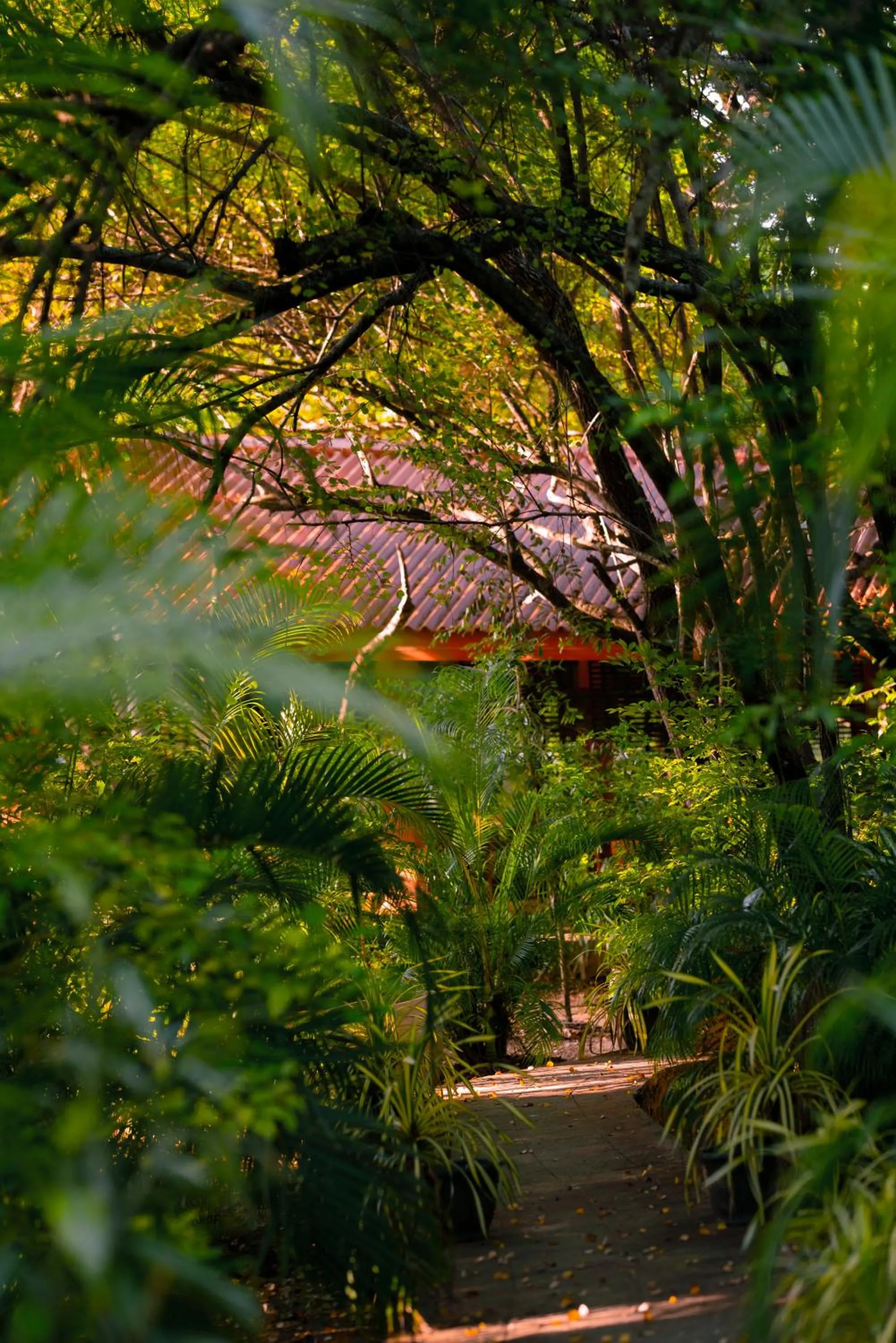 Safari Lodge Yala