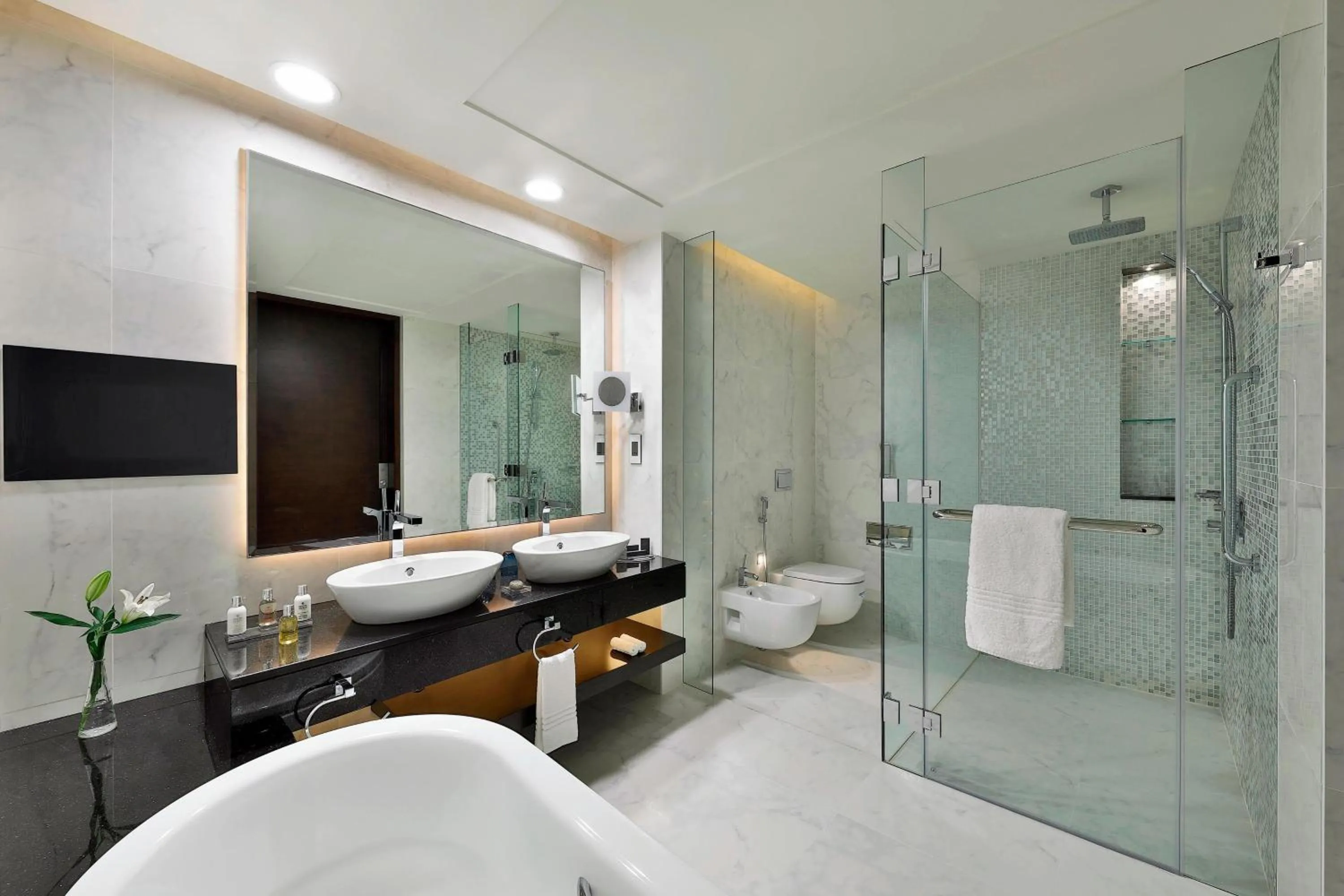 Bathroom in Marriott Hotel Al Forsan, Abu Dhabi