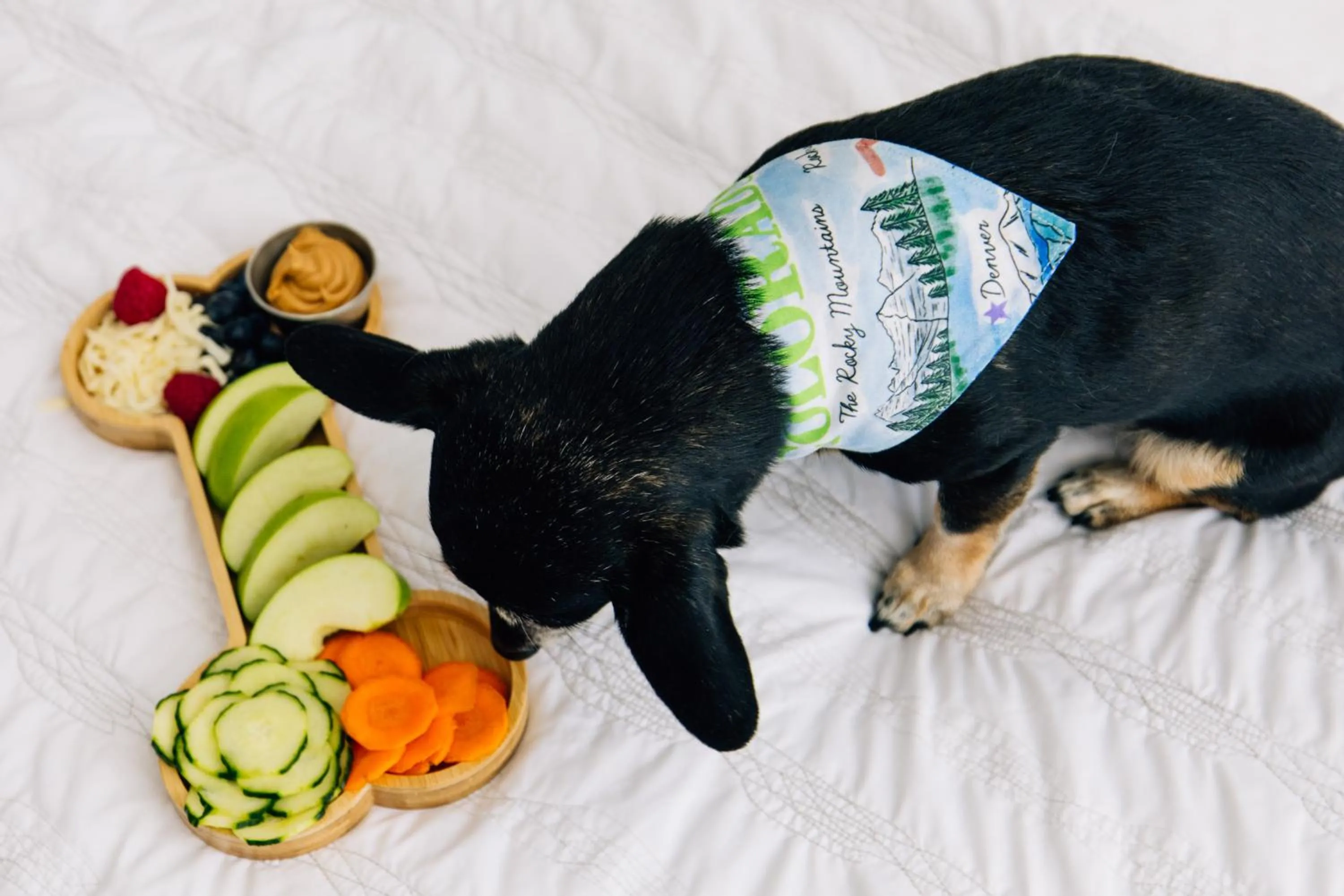 Bedroom in Le Meridien Denver Downtown