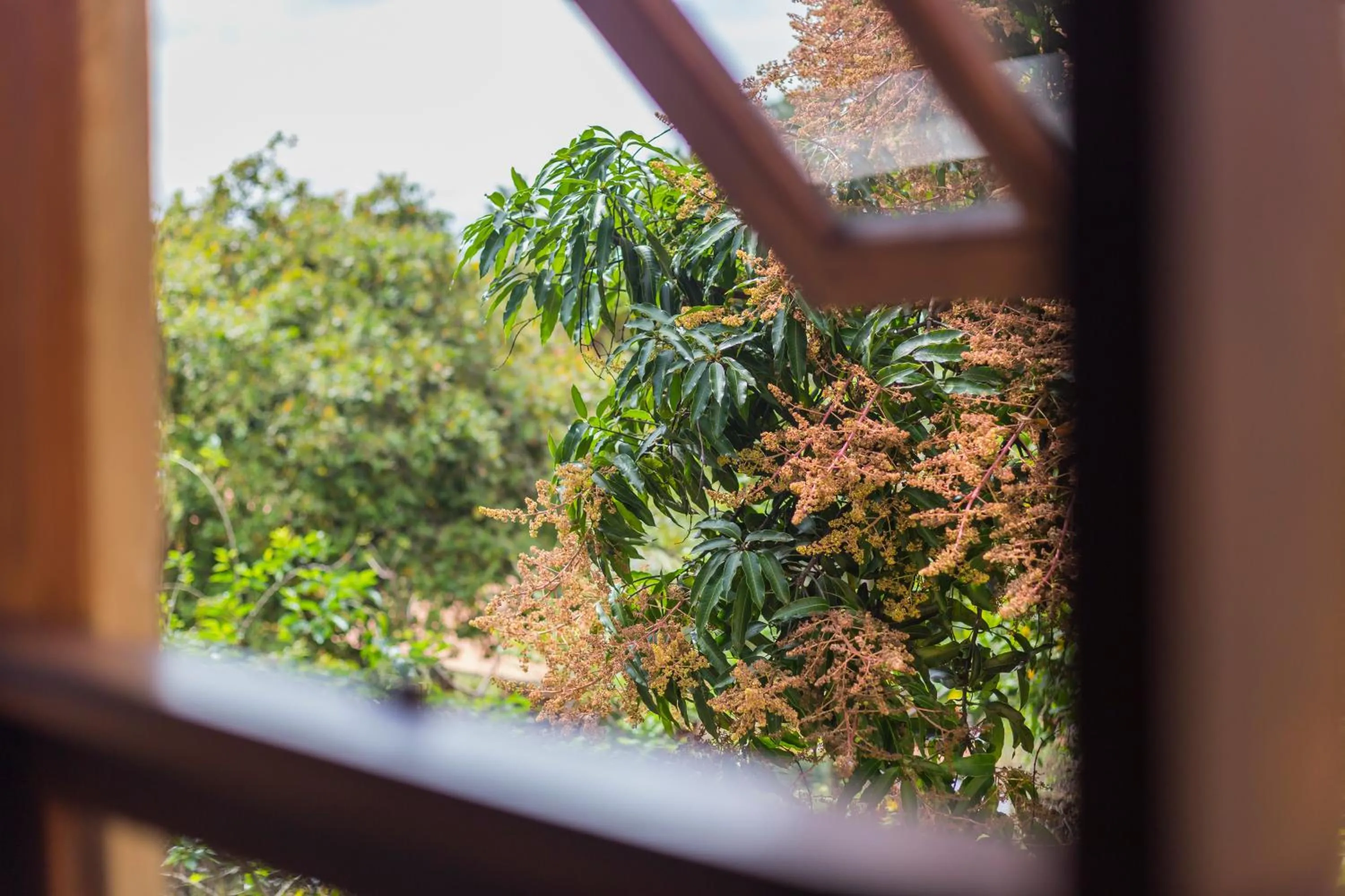 View (from property/room) in Terra dos Diamantes Hotel