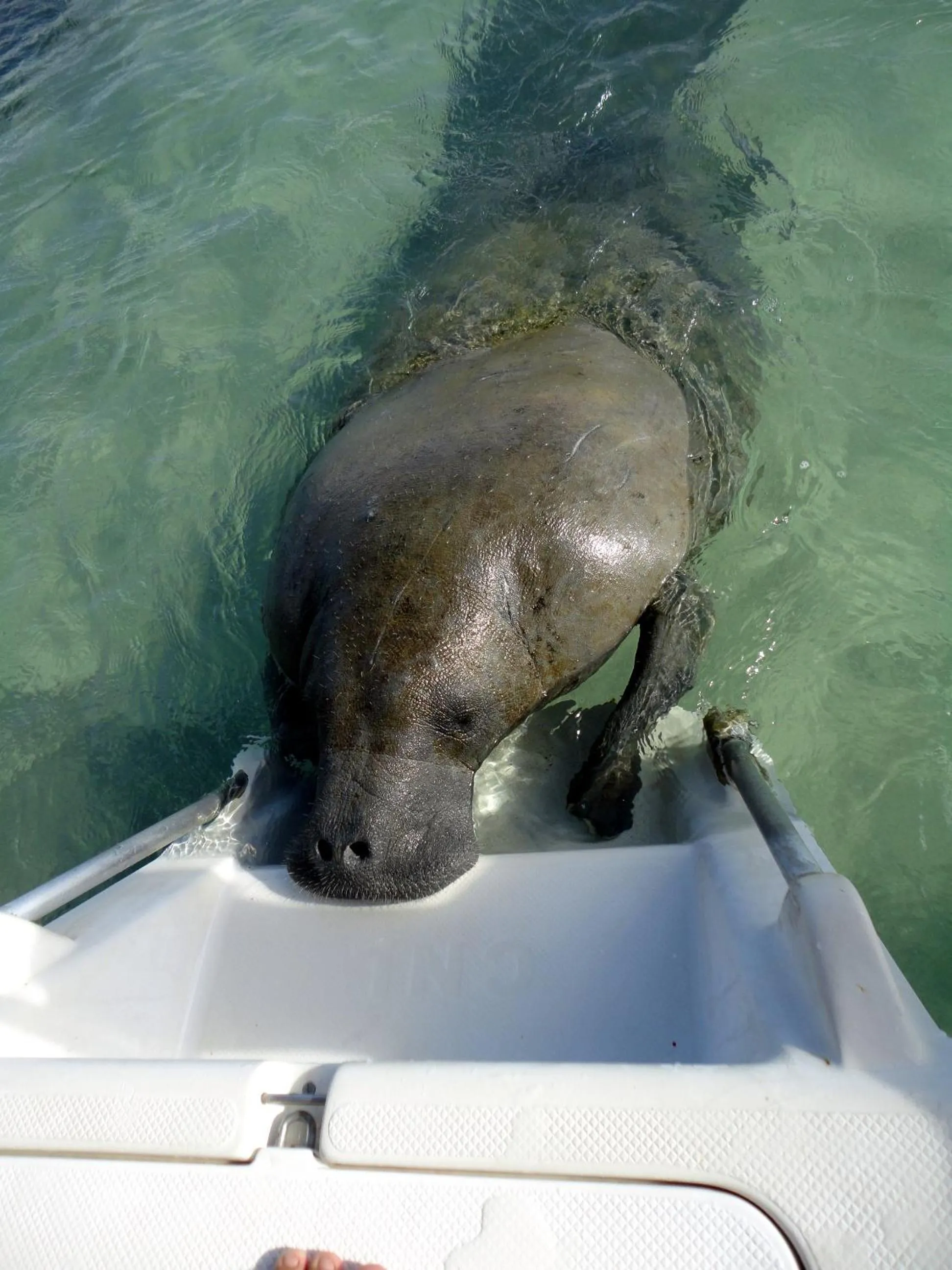 Off site in Pousada Sabrinna