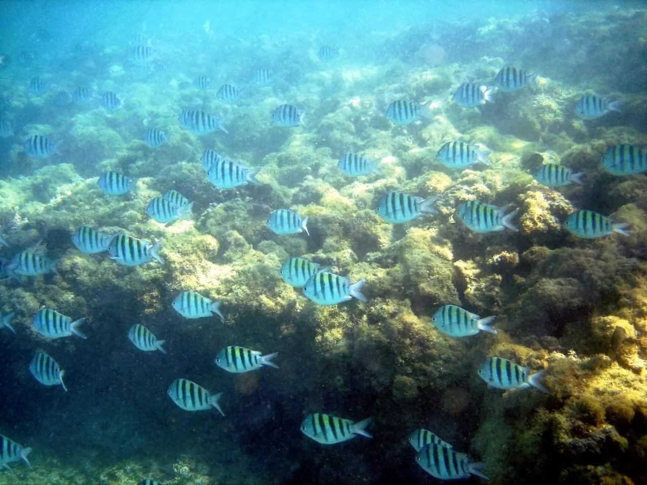 Off site in Pousada Sabrinna