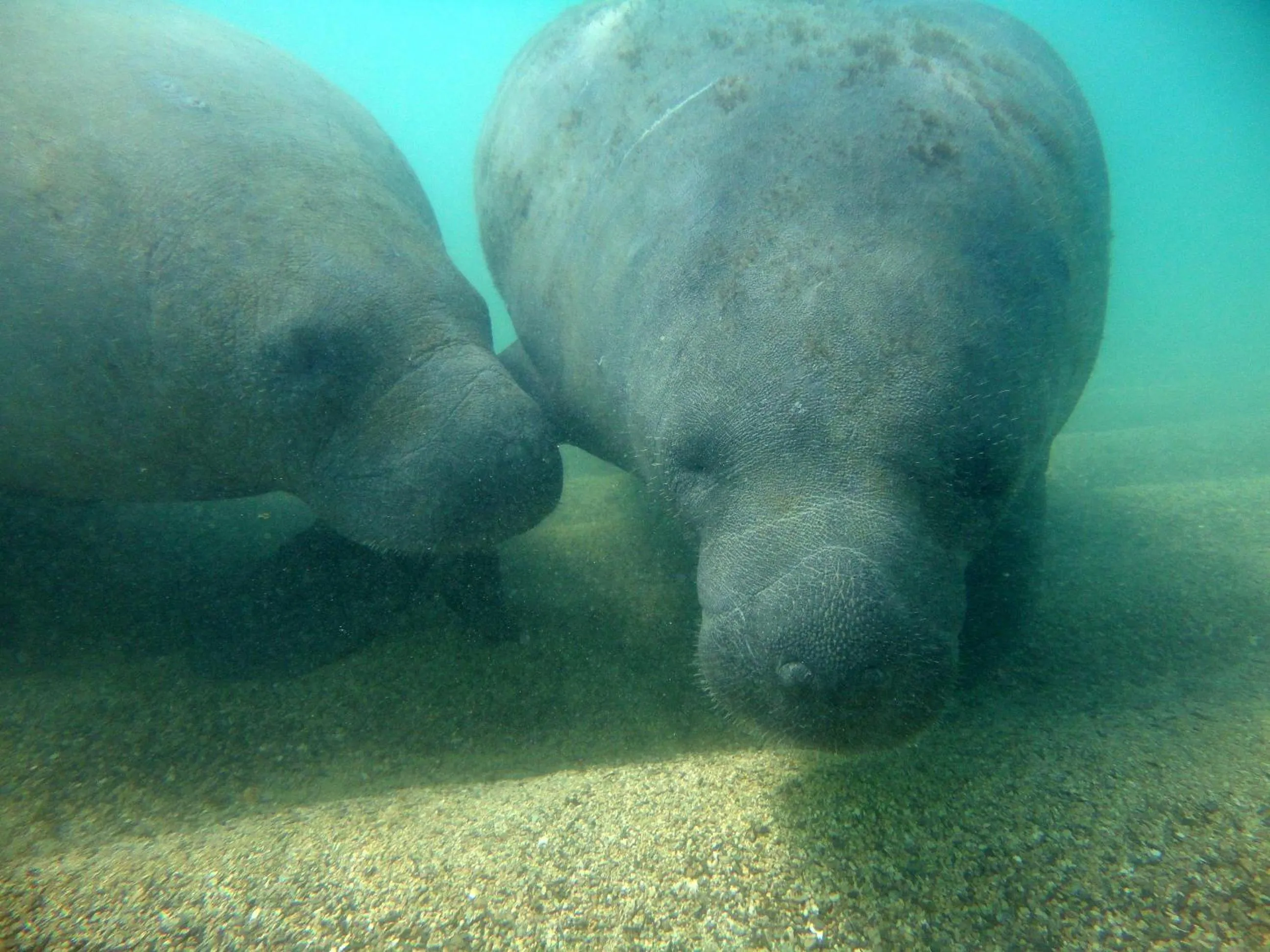 Off site in Pousada Sabrinna