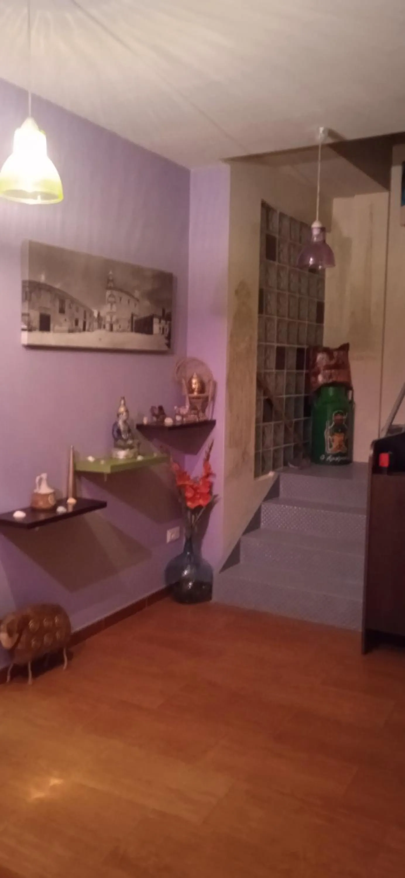 Albergue o Apalpador