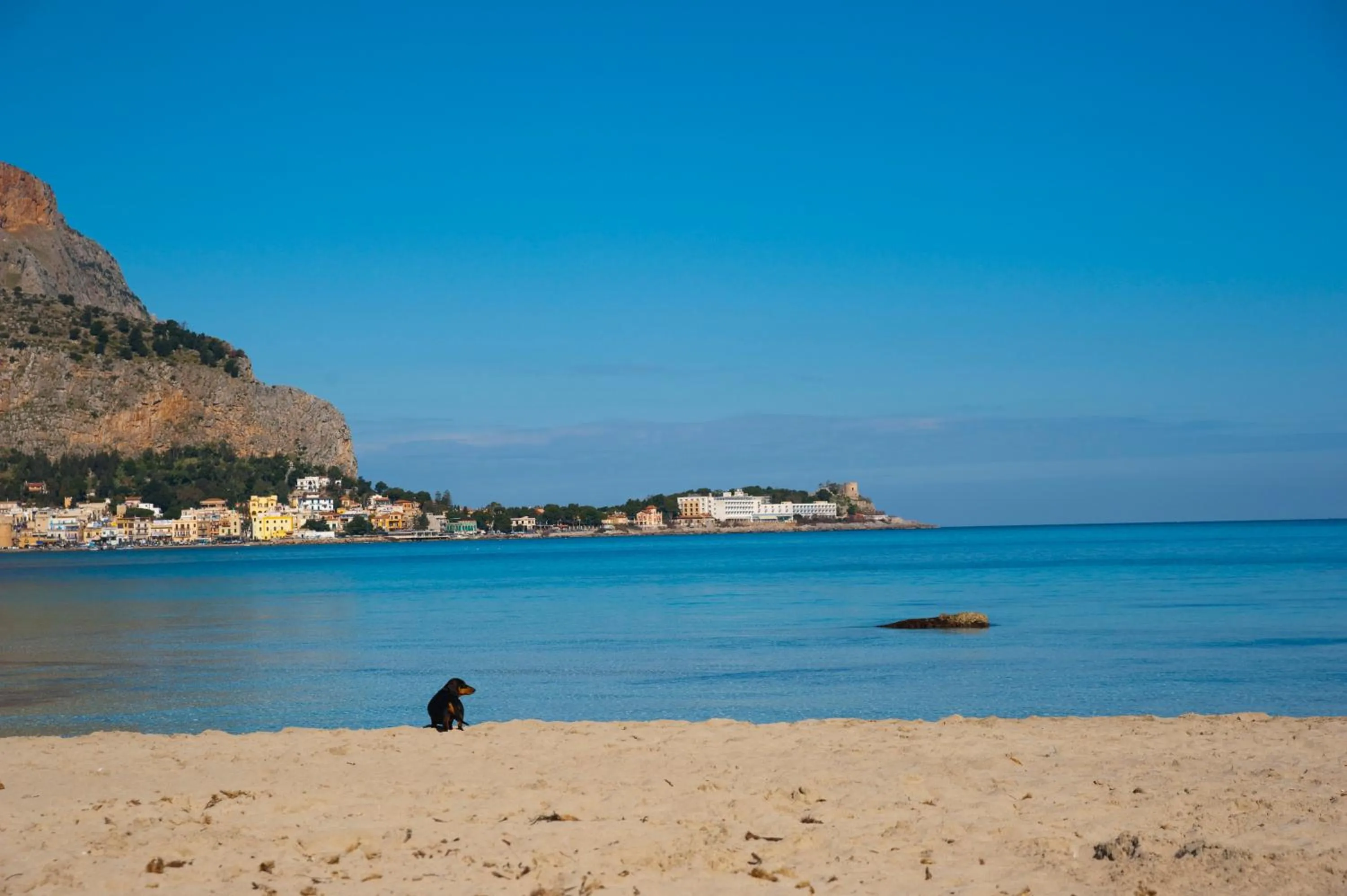 Other in Green Garden 2017