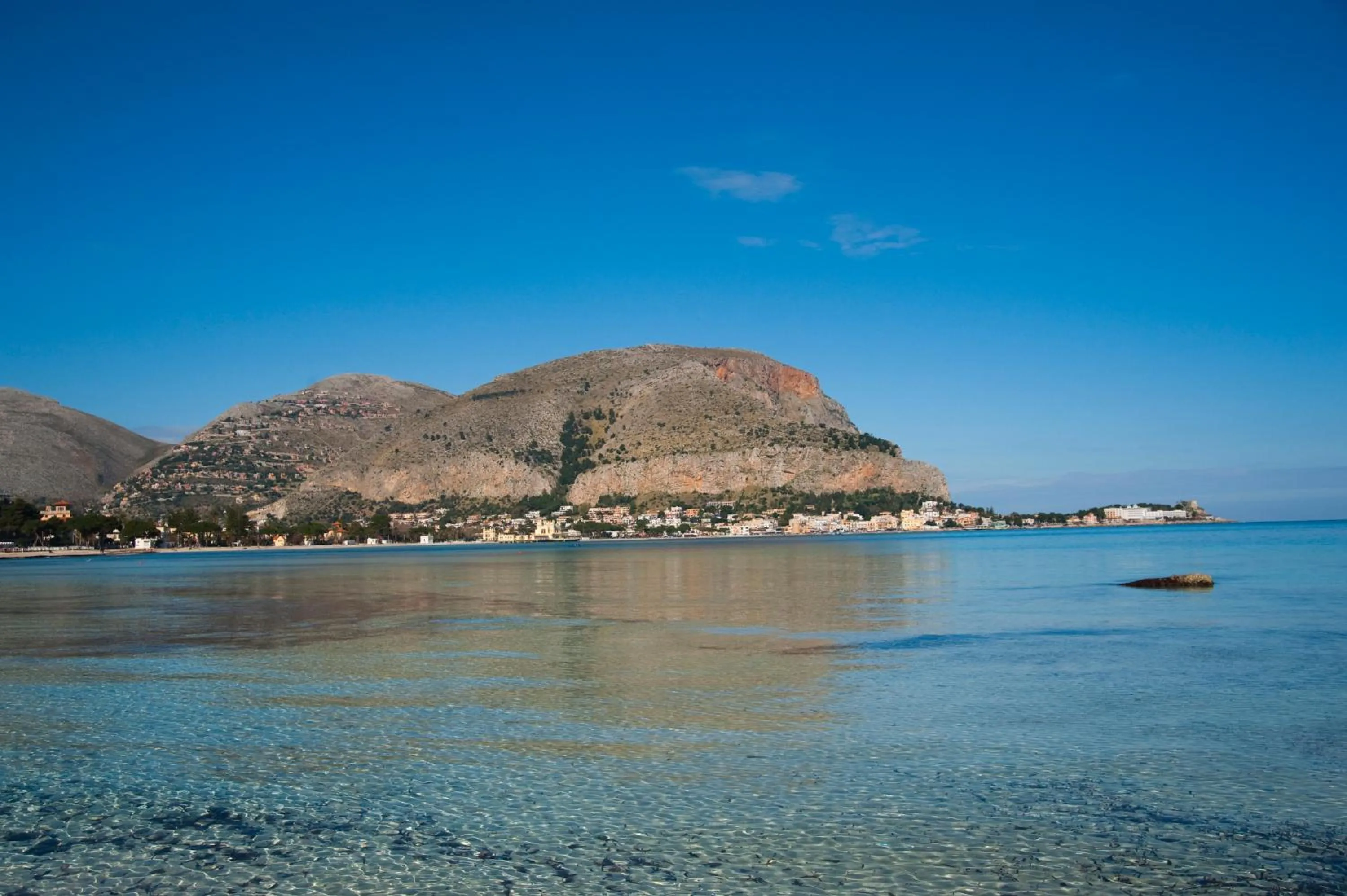 Entertainment in Green Garden 2017