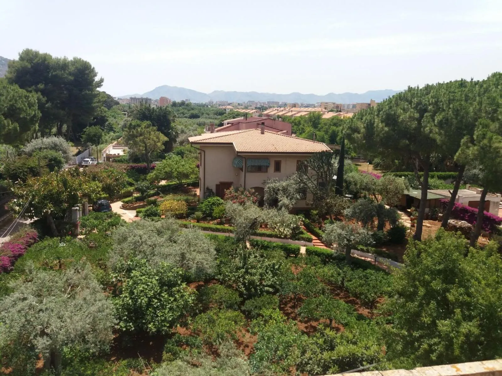 Garden in Green Garden 2017