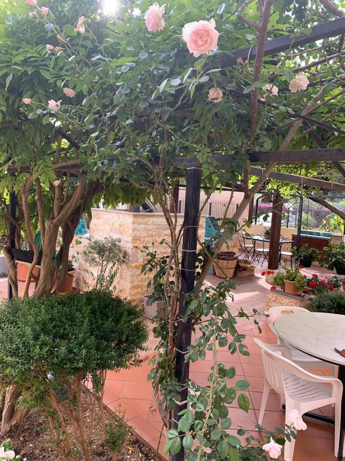 Garden view in Green Garden 2017