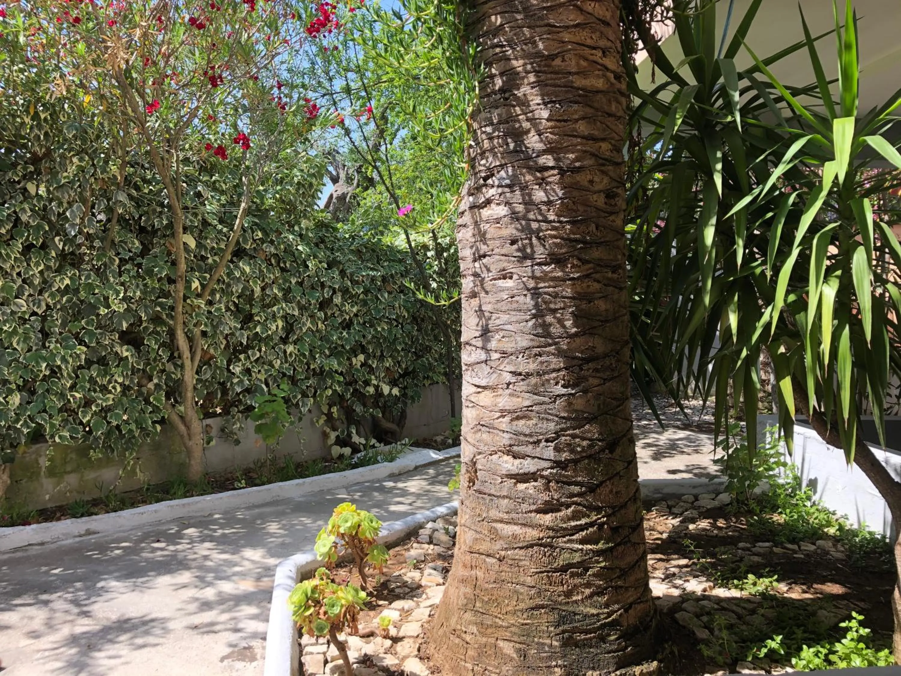 Facade/entrance in Tiglio Vieste