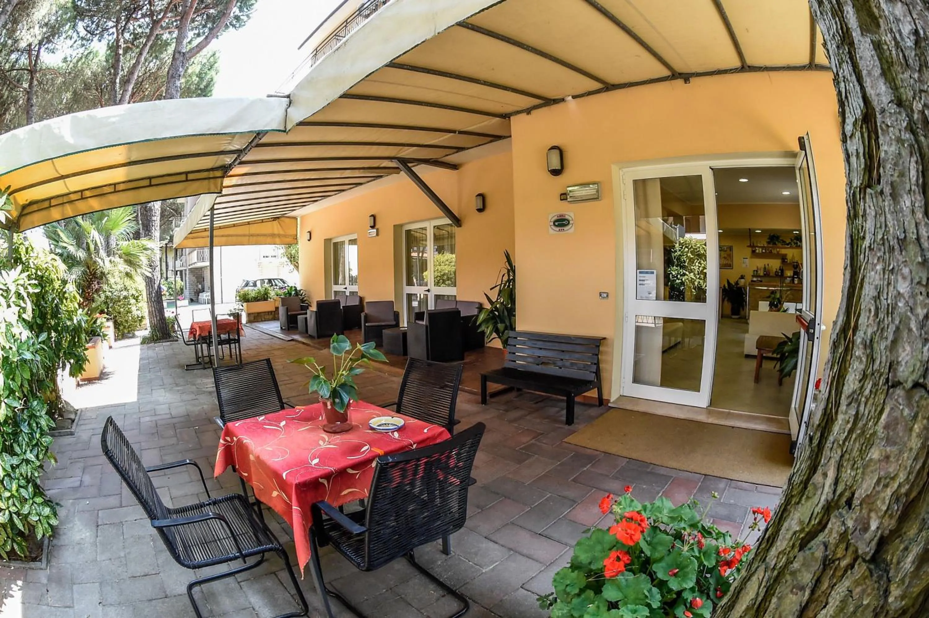 Patio in Hotel Riziana