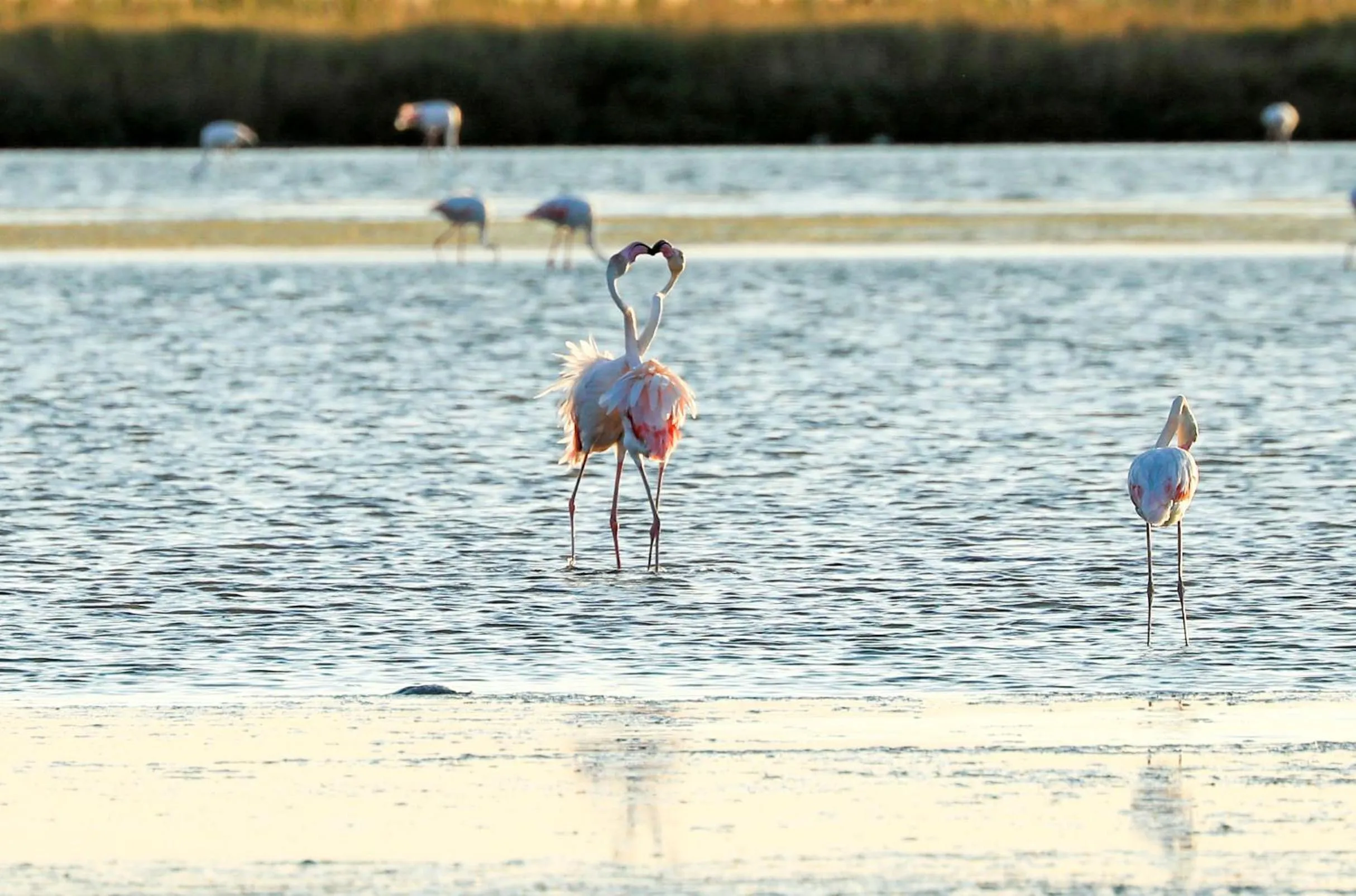 Nearby landmark in Hotel Riziana