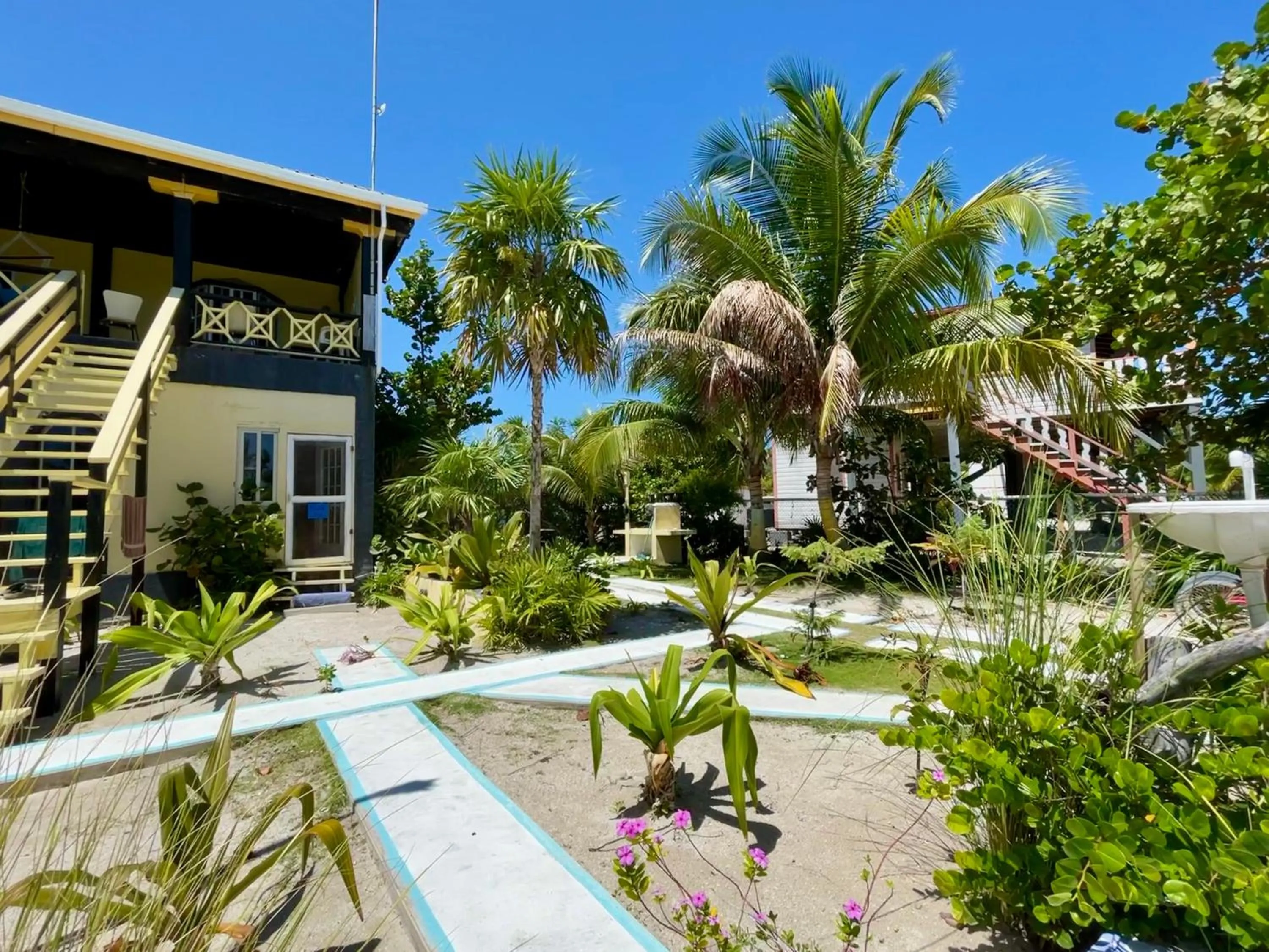 Property building in The Novelo
