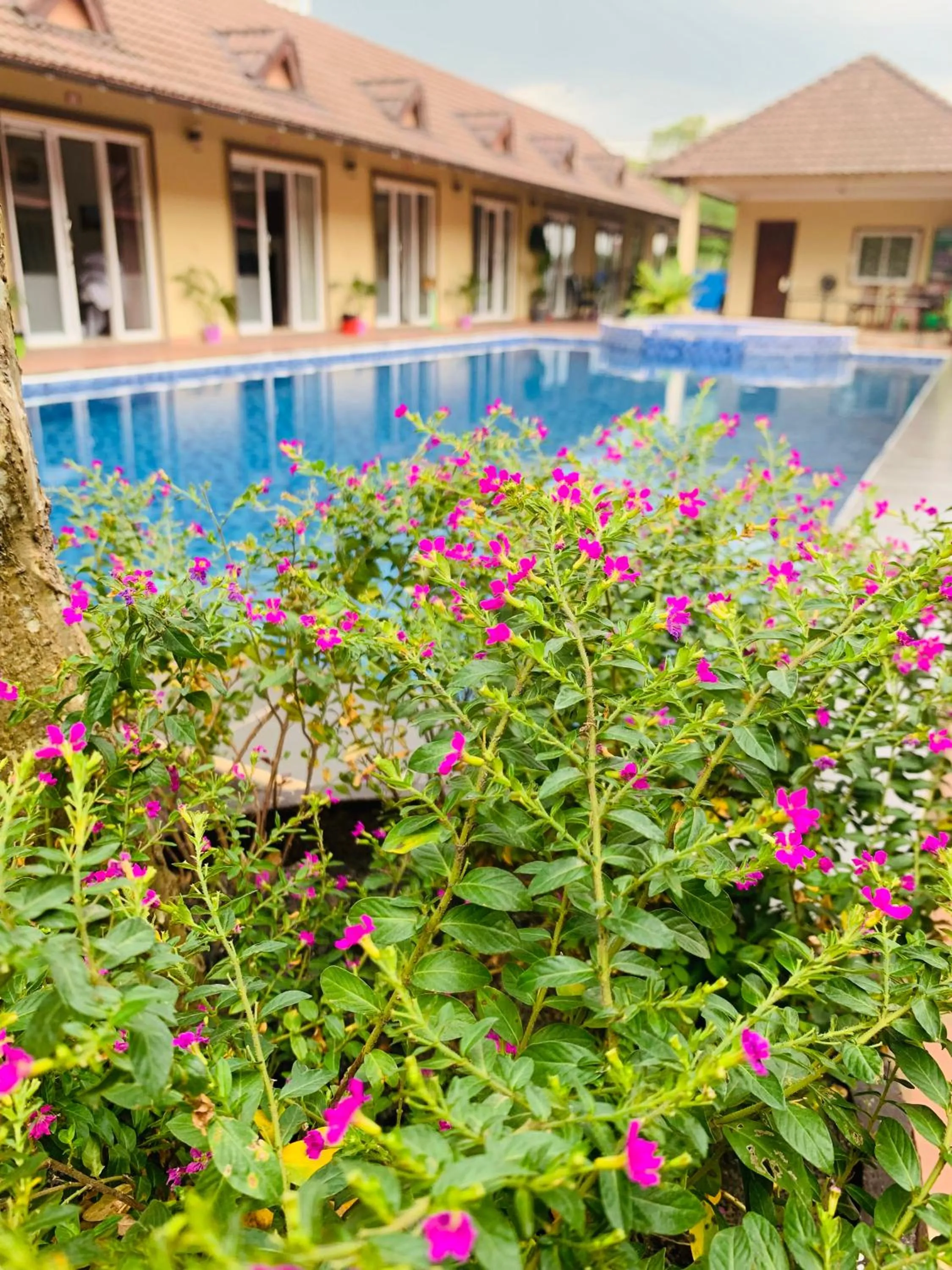 Property building in Hello Kampot Resort