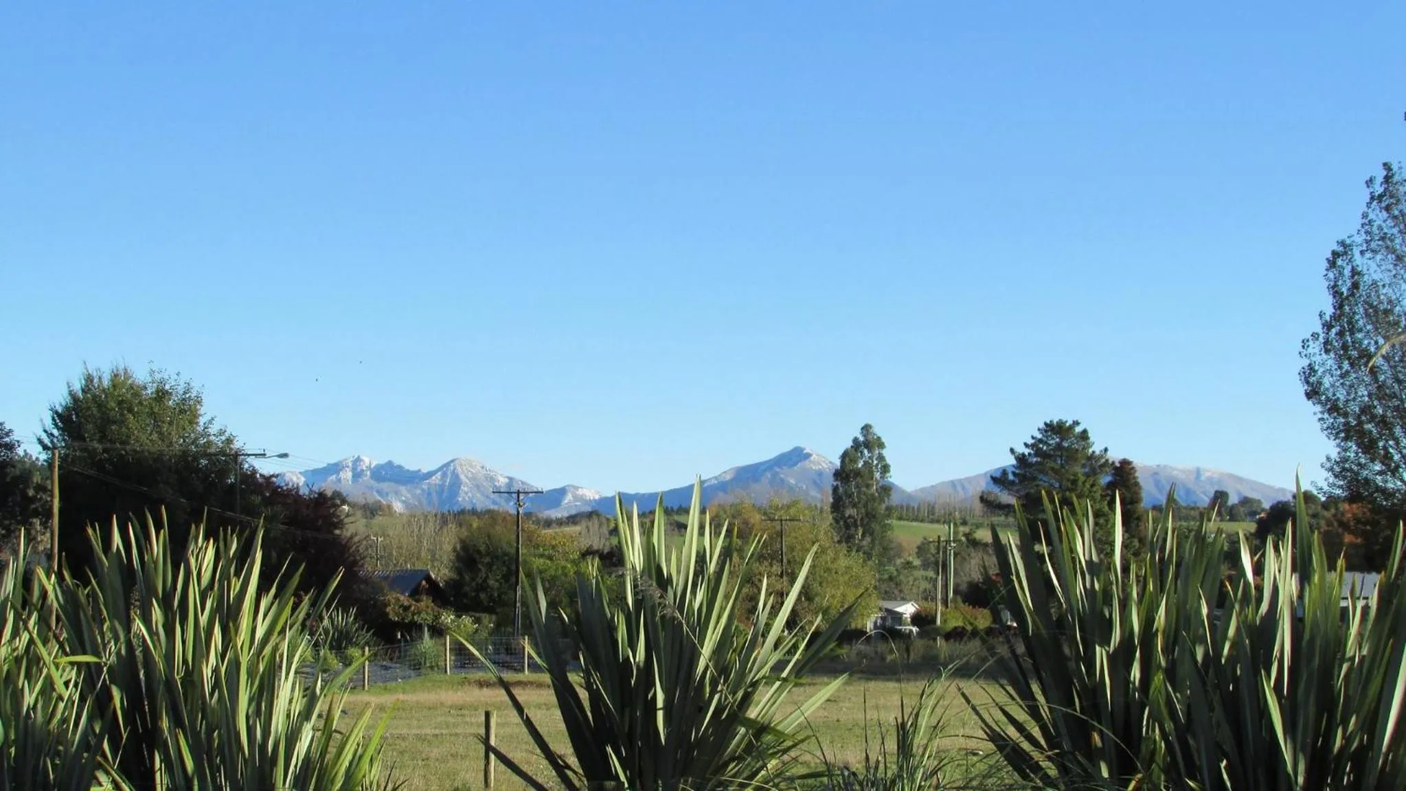 Natural landscape in Black on Grey