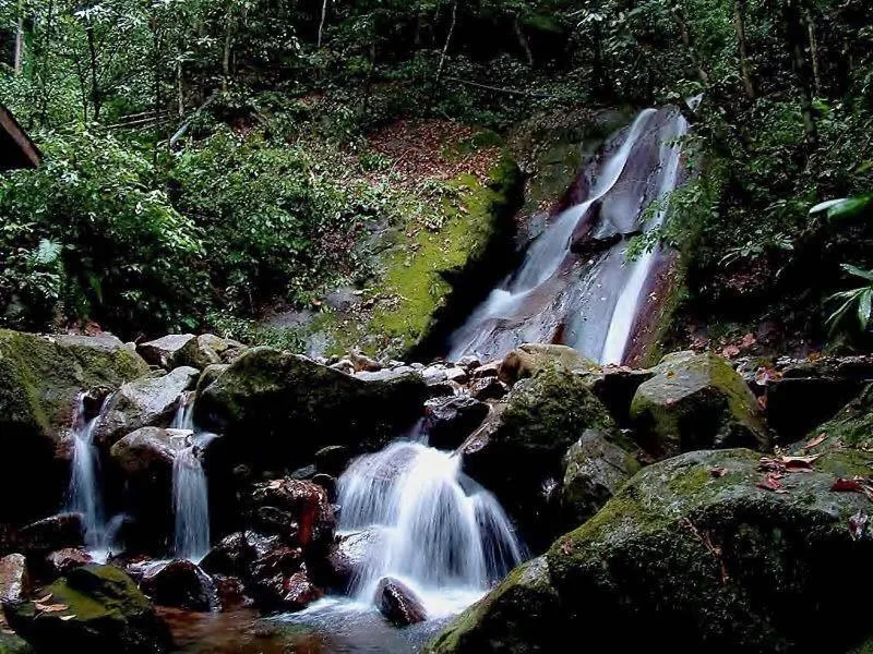 Ranau Backpackers Hostel