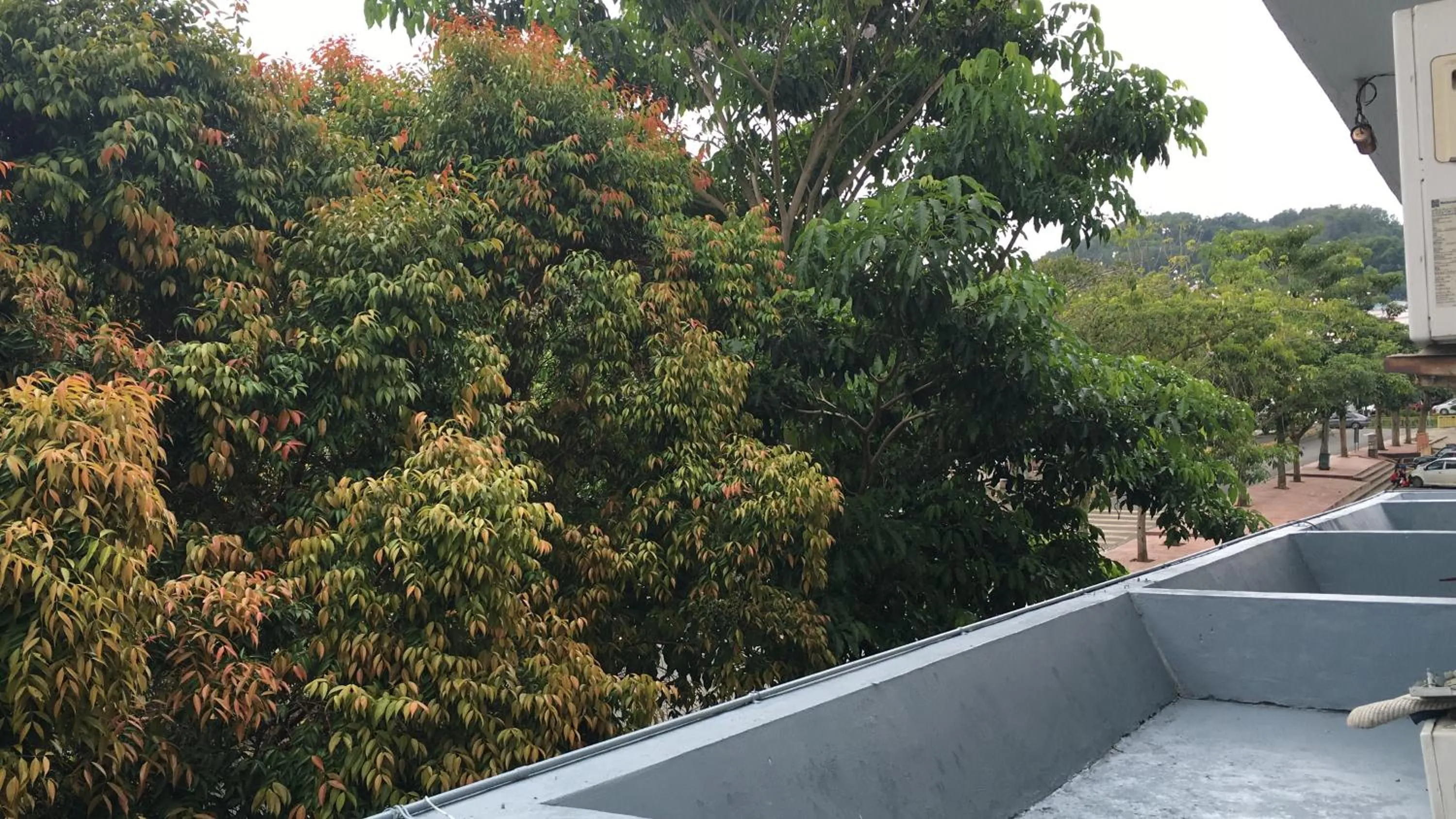 Street view in Ranau Backpackers Hostel