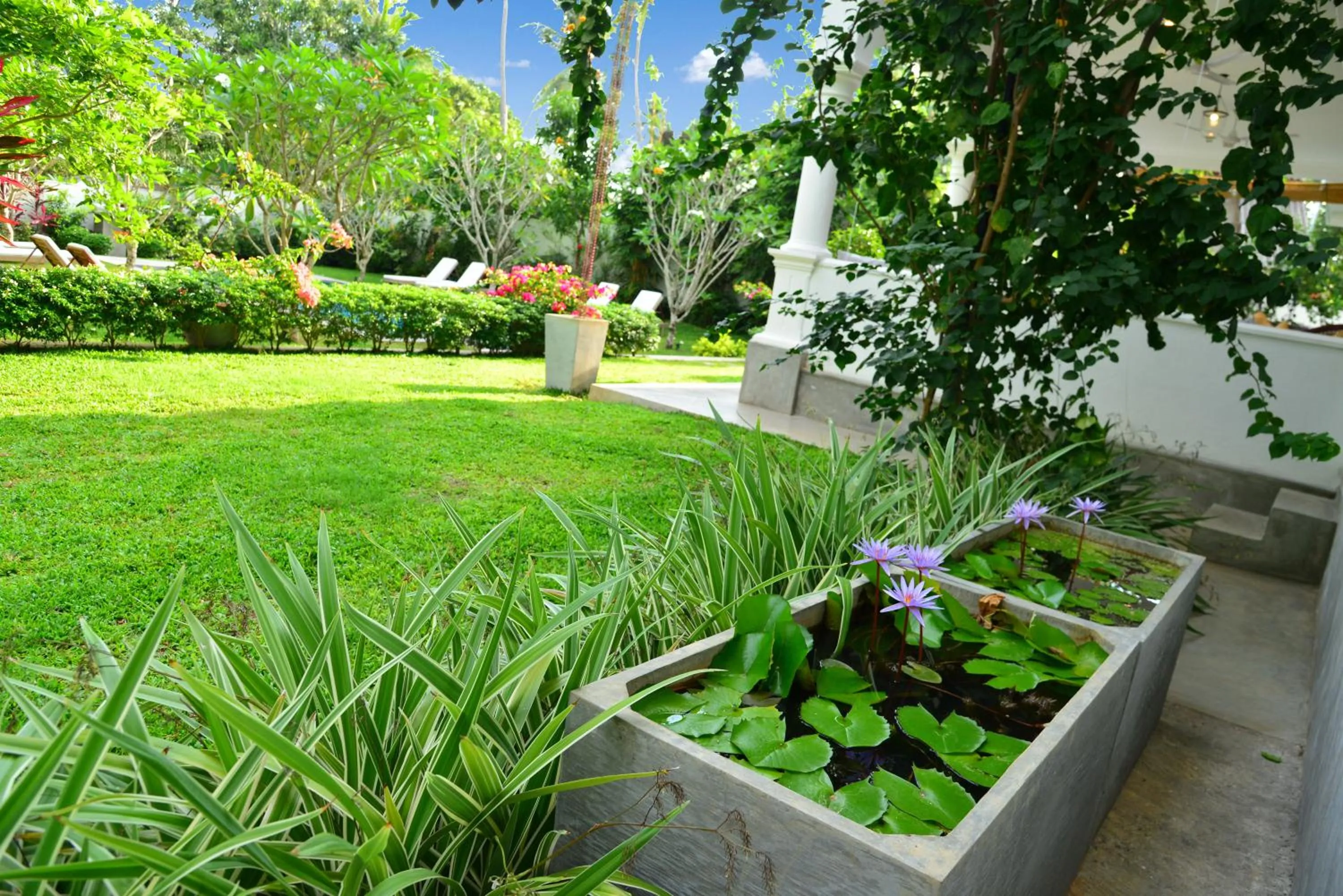 Garden in Boutique Villa Shanthi