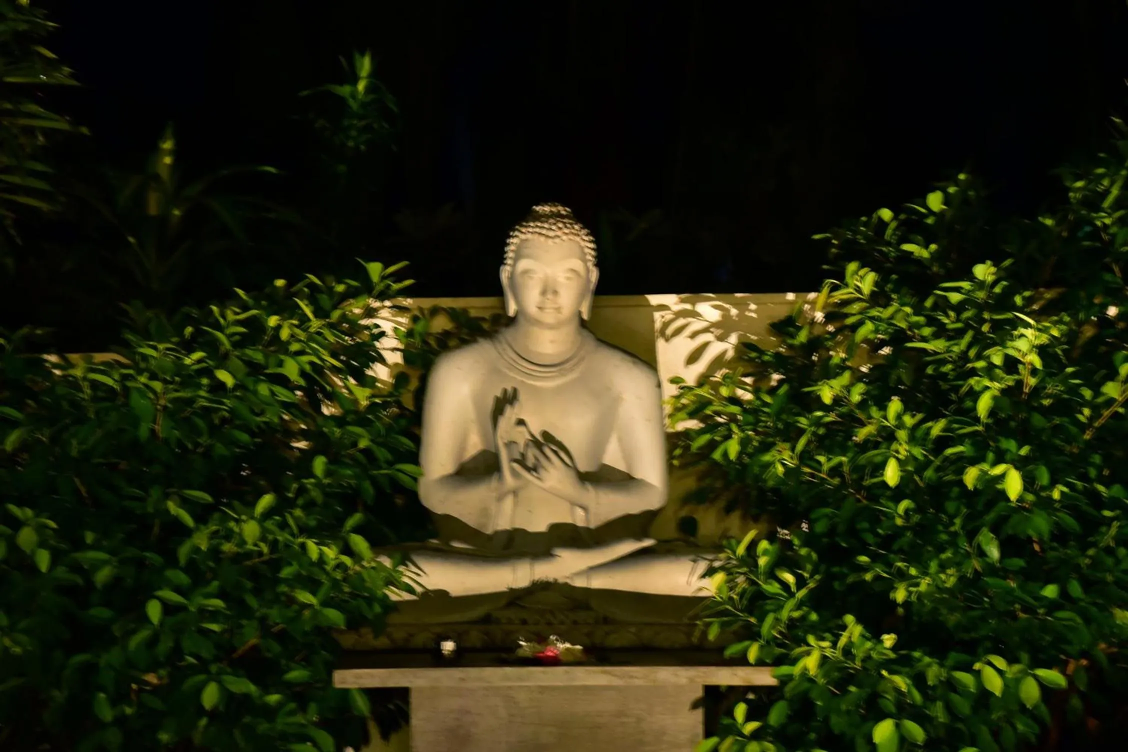 Garden in Boutique Villa Shanthi