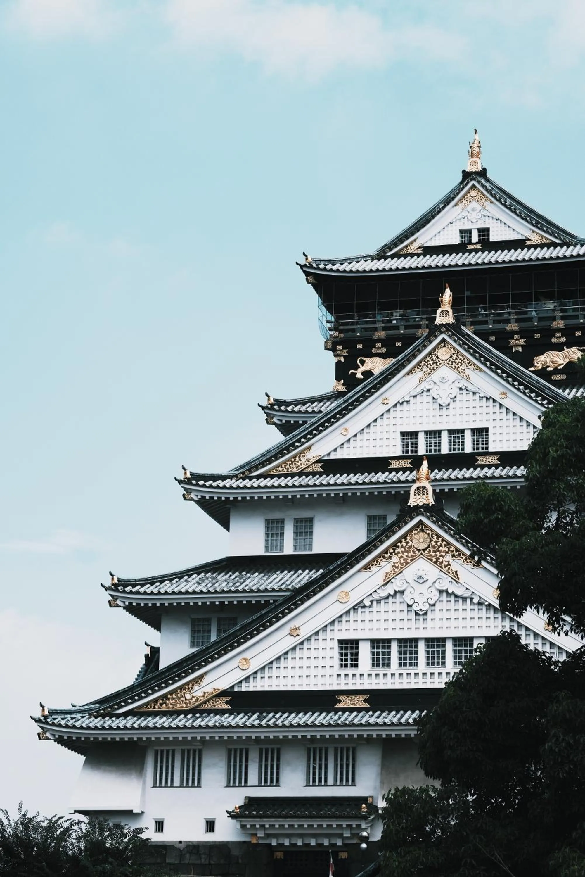 Property Building in 04village Namba