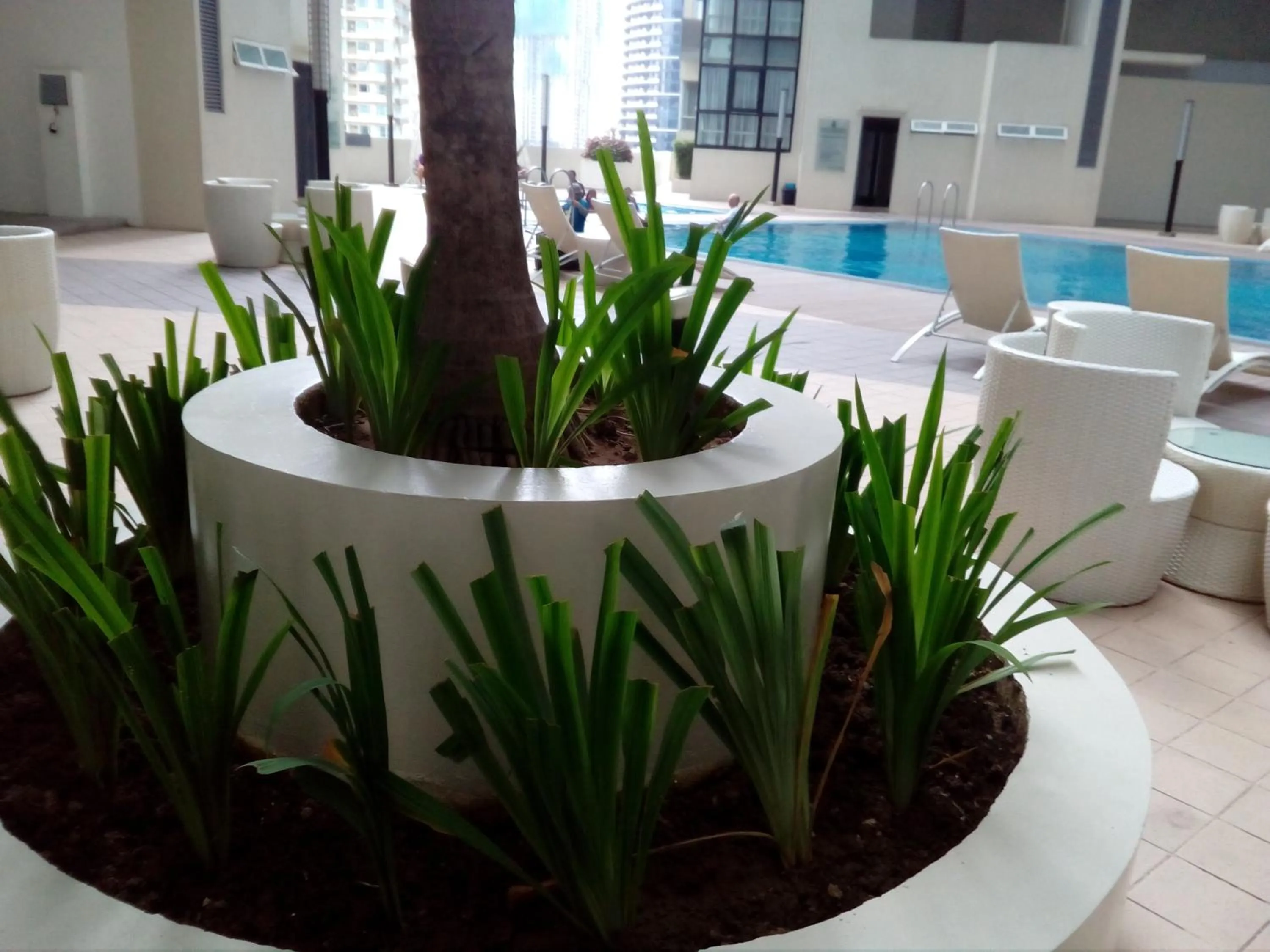 Swimming pool in Victoria SOHO Suites