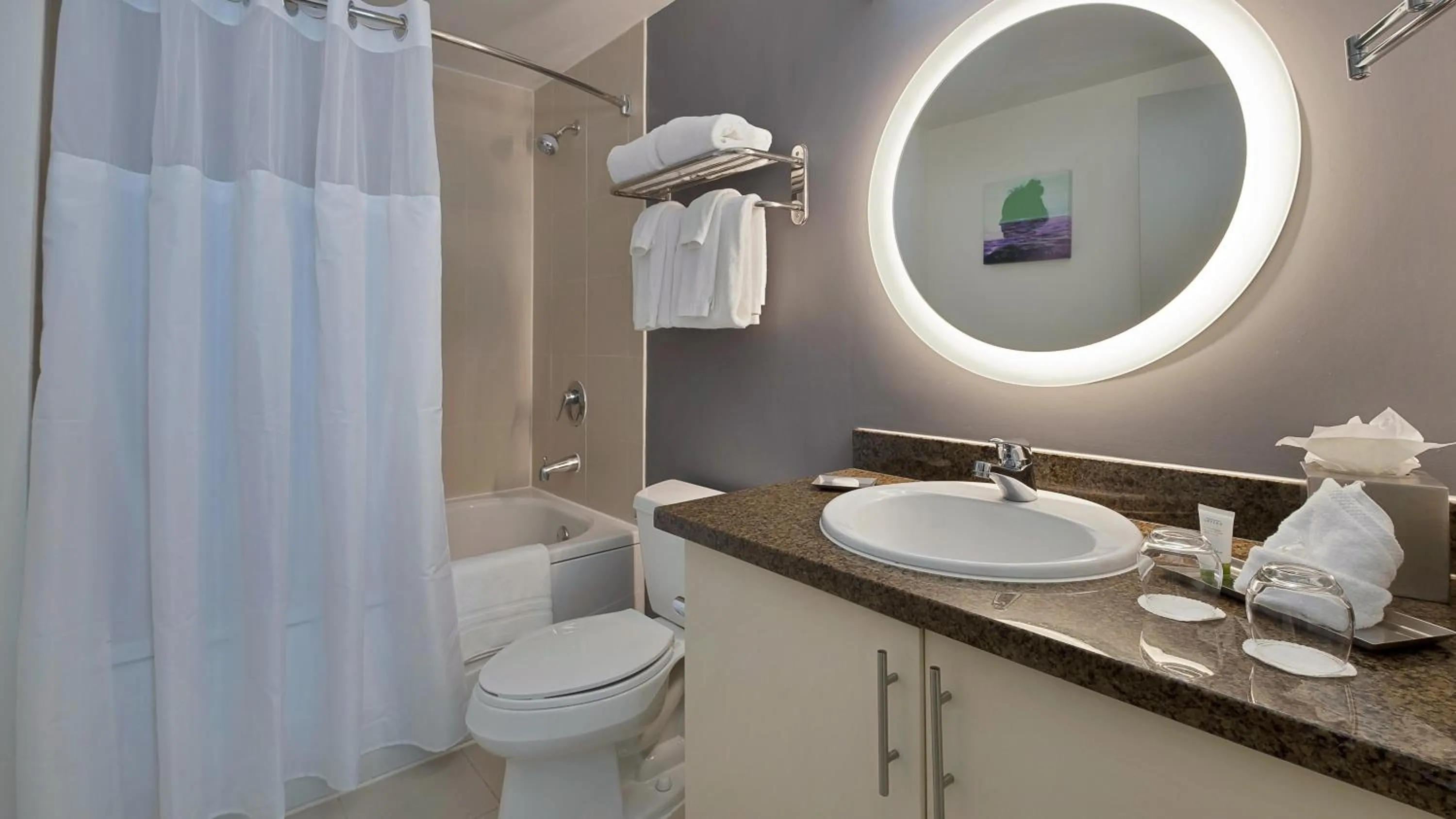 Shower in Hotel Arya BW Premier Collection