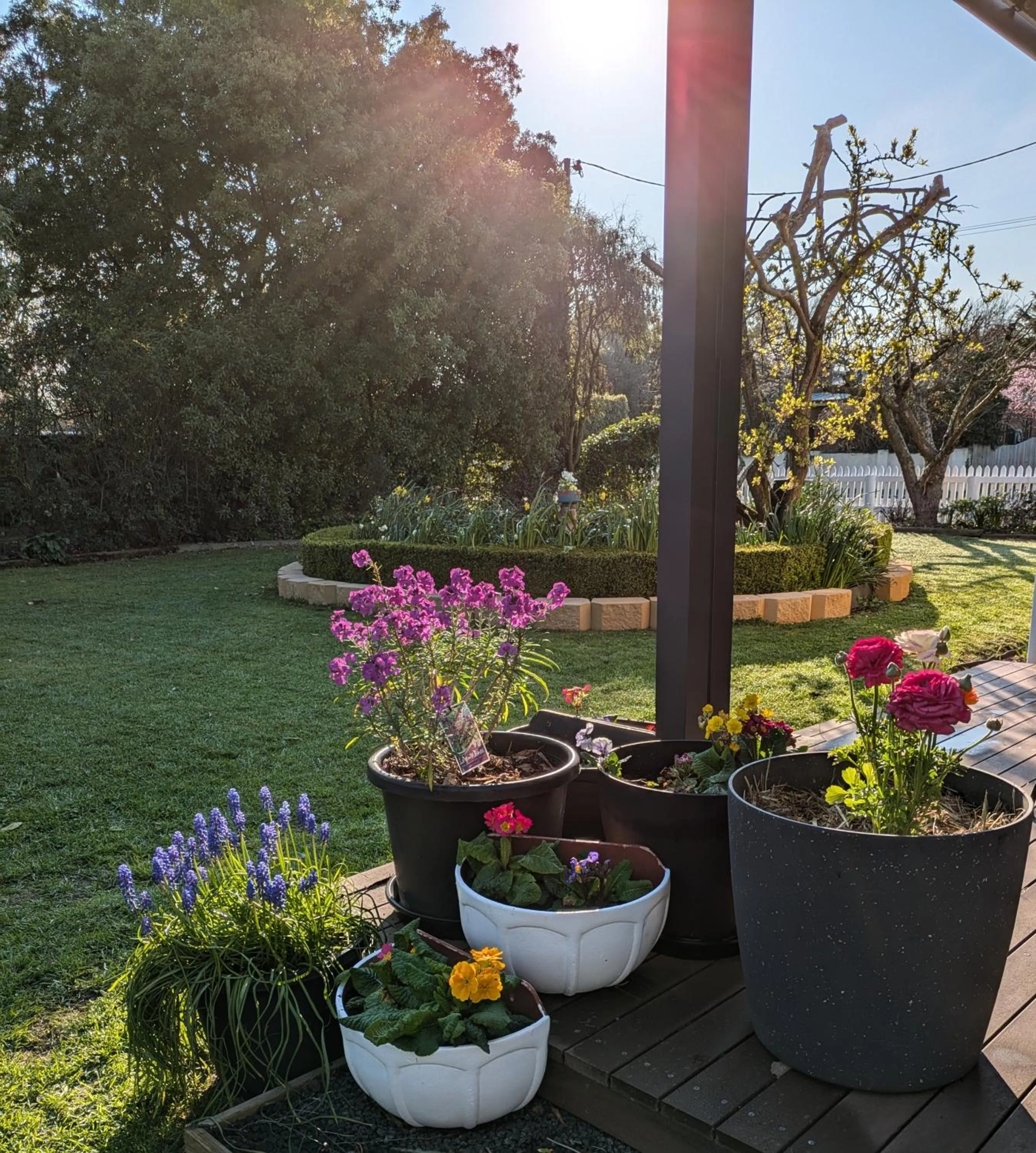 Spring in Bellamona Cottage Longford