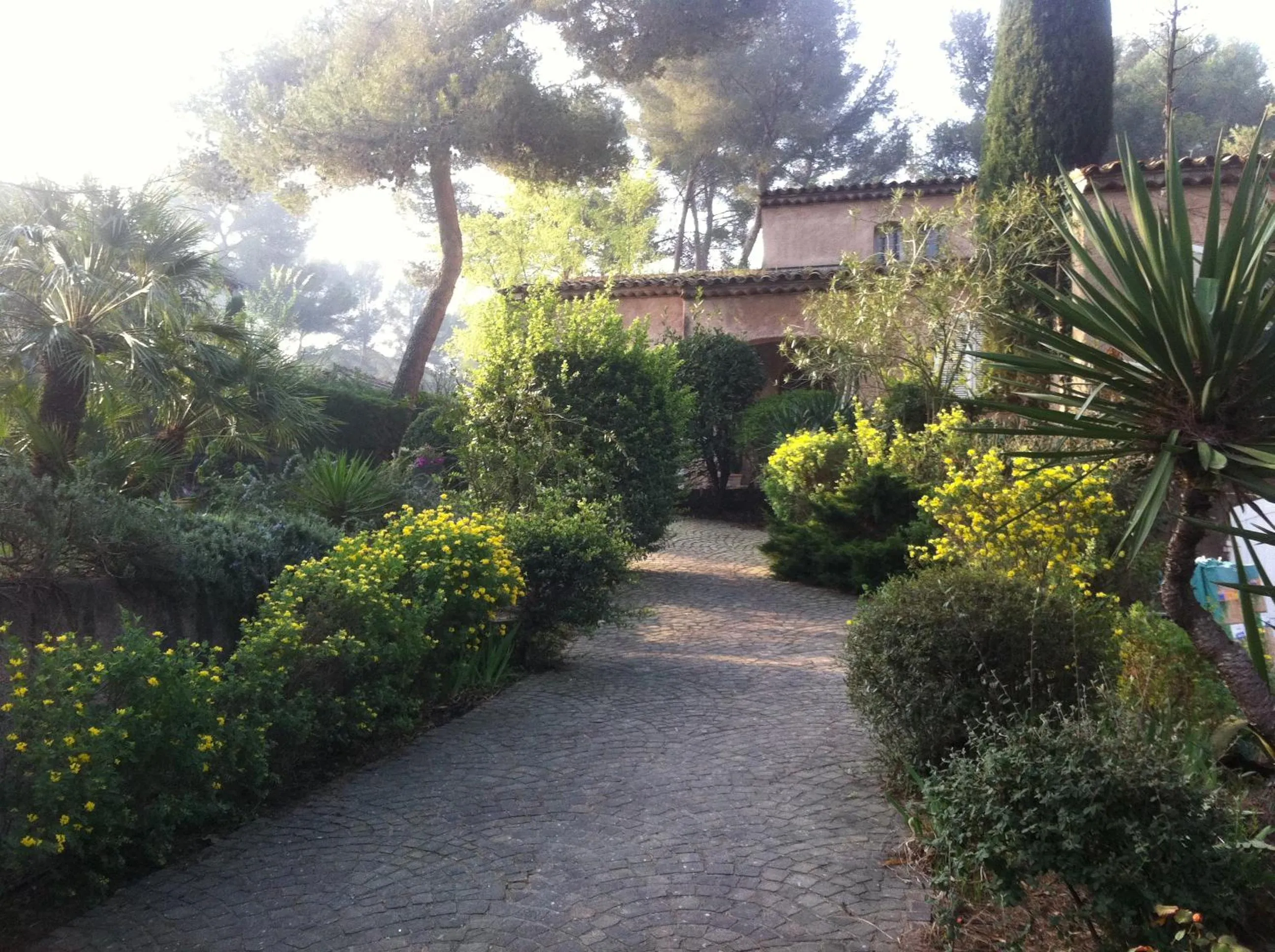 Garden in La Douce Heure