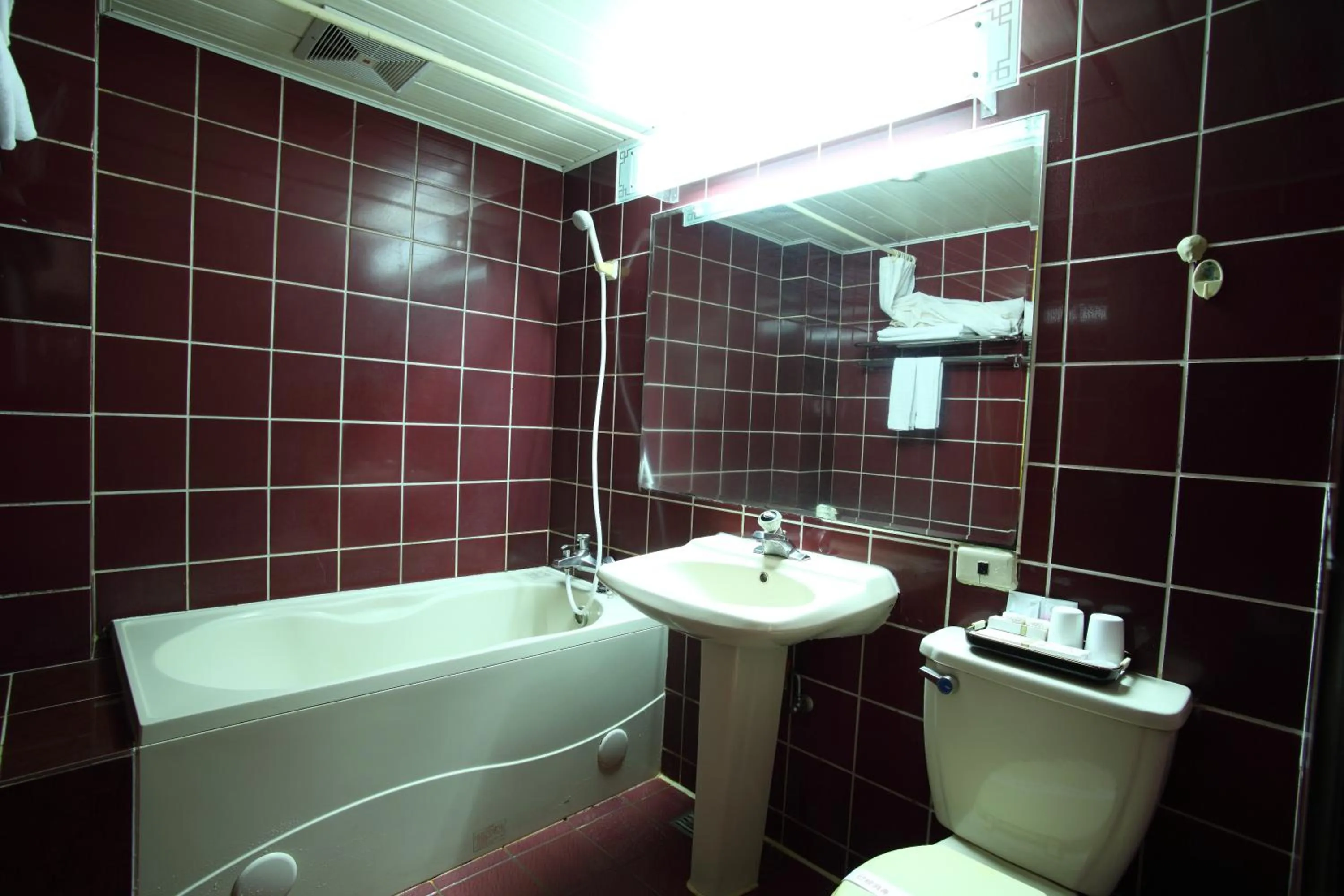 Toilet in Nan Tou Hotel