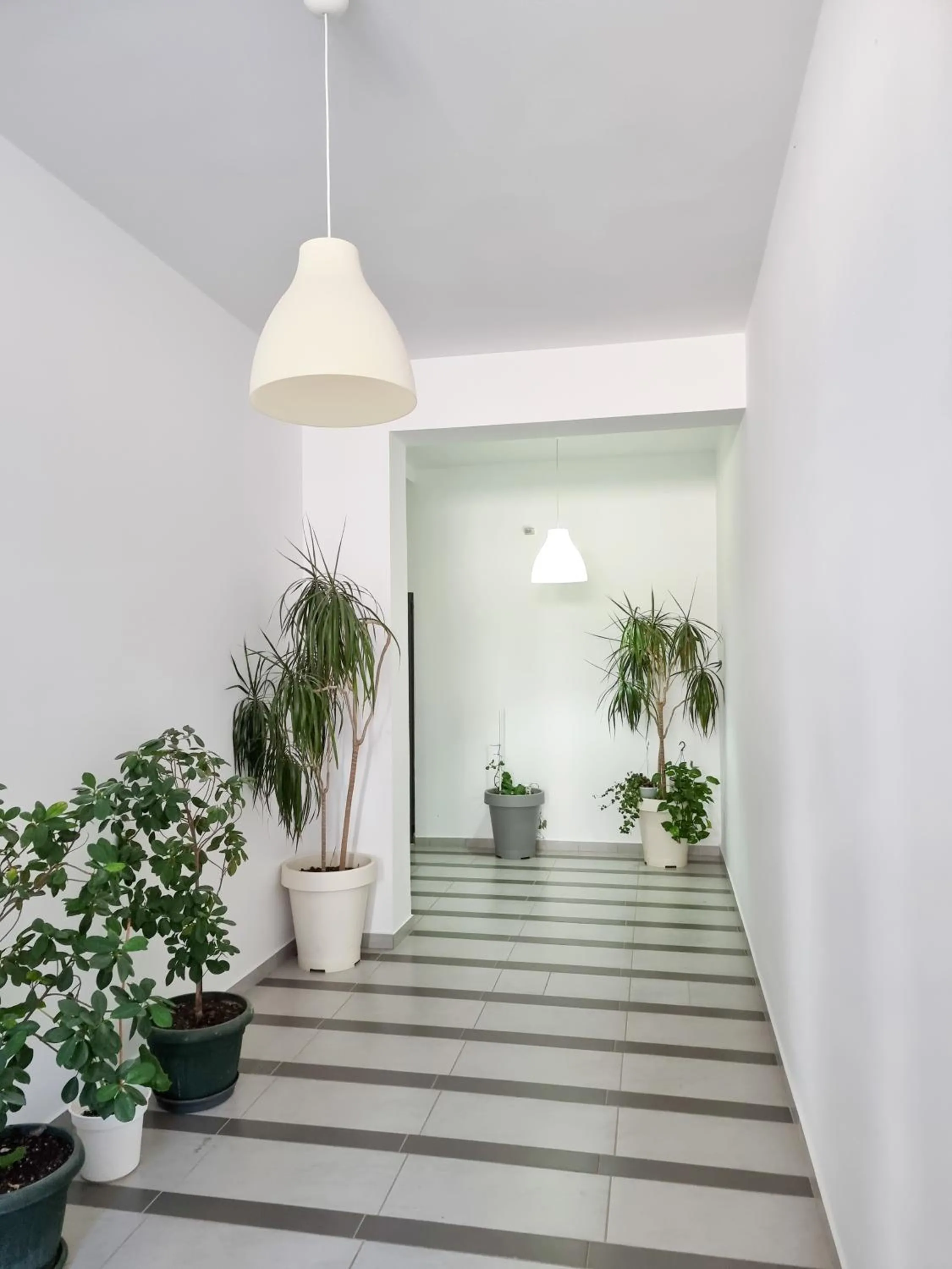 Arte Apartment