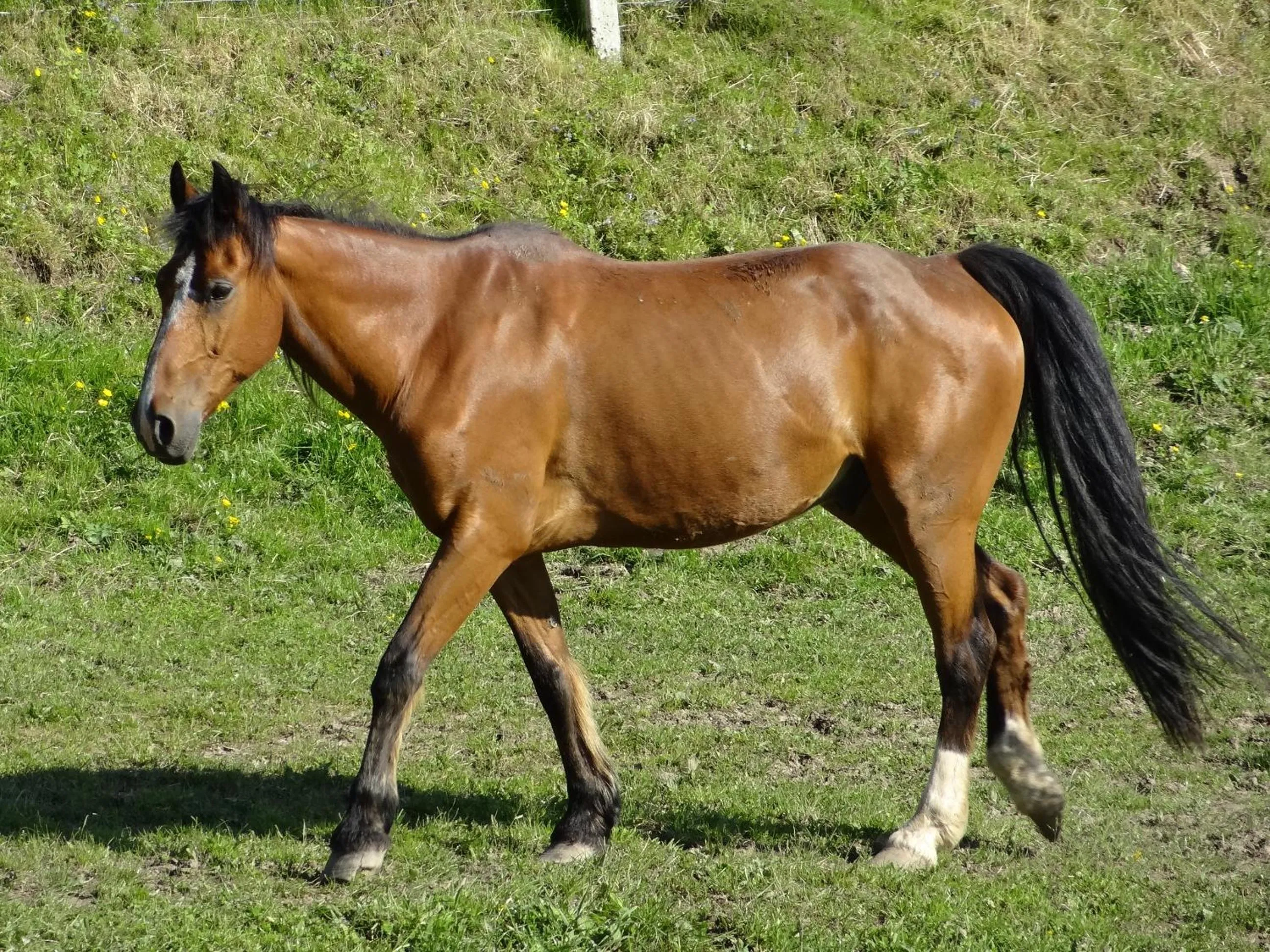 Natural landscape in La Fermette Blanche