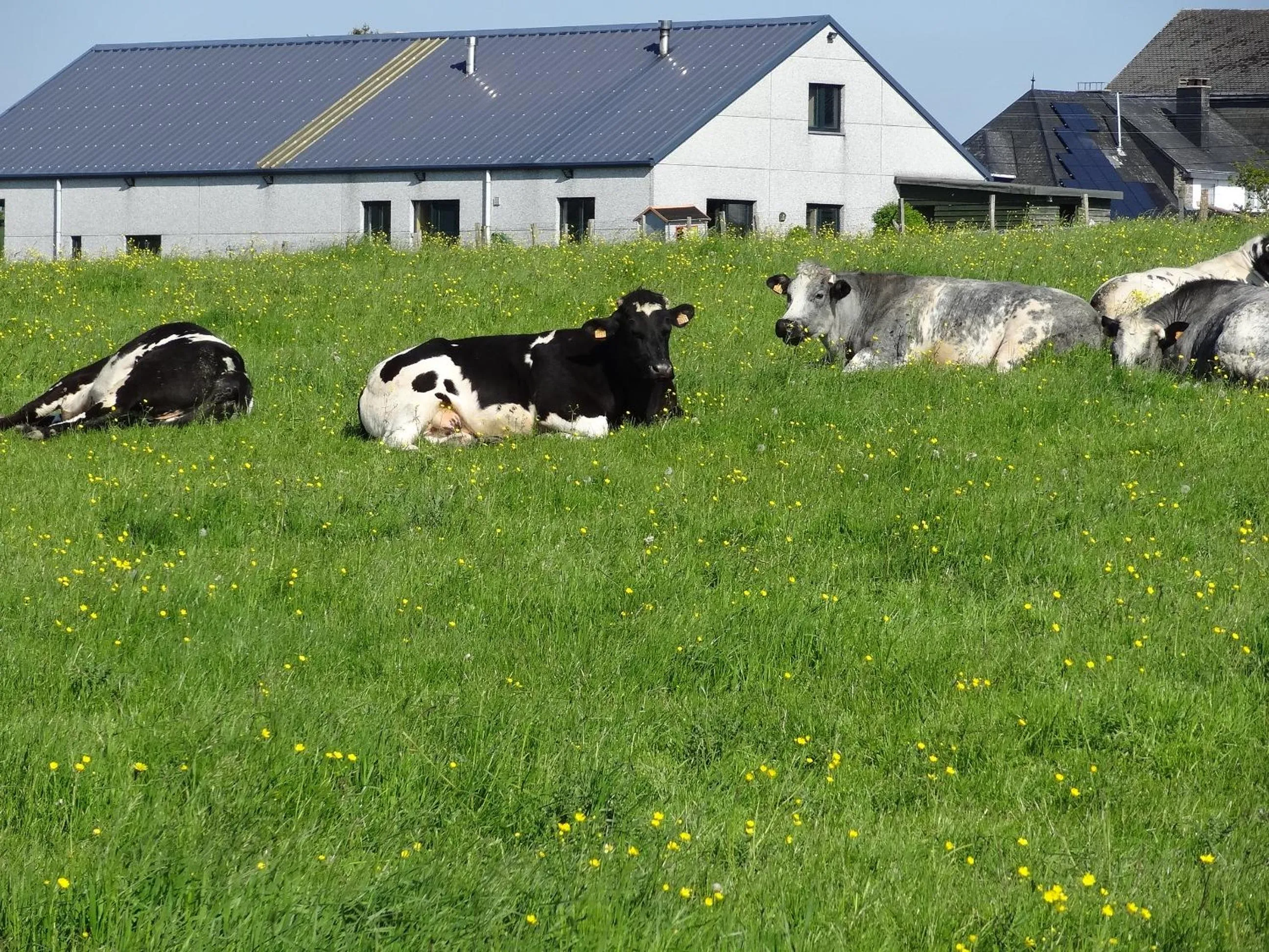 Natural landscape in La Fermette Blanche