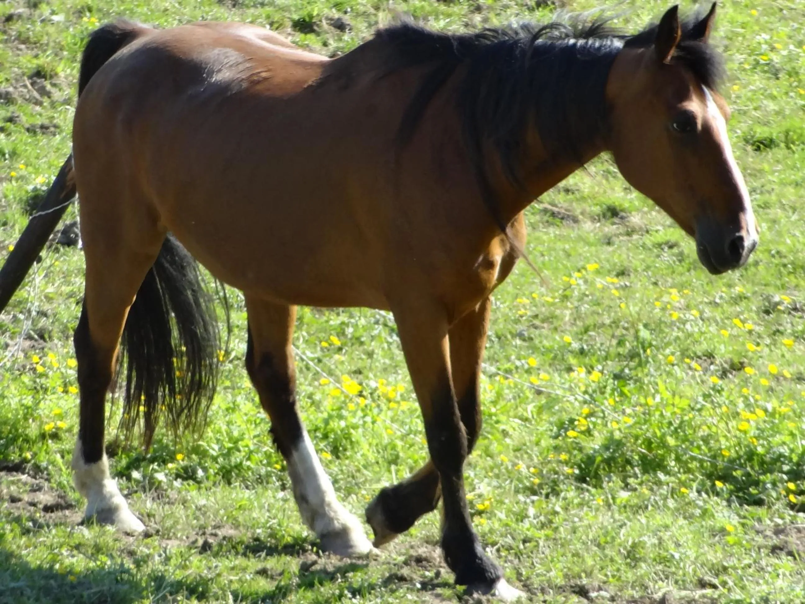 Natural landscape in La Fermette Blanche