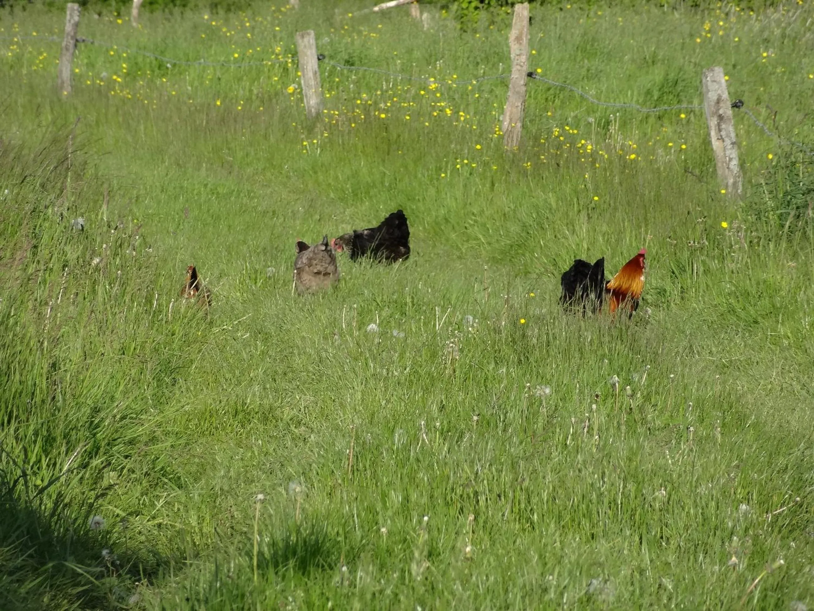 Natural landscape in La Fermette Blanche