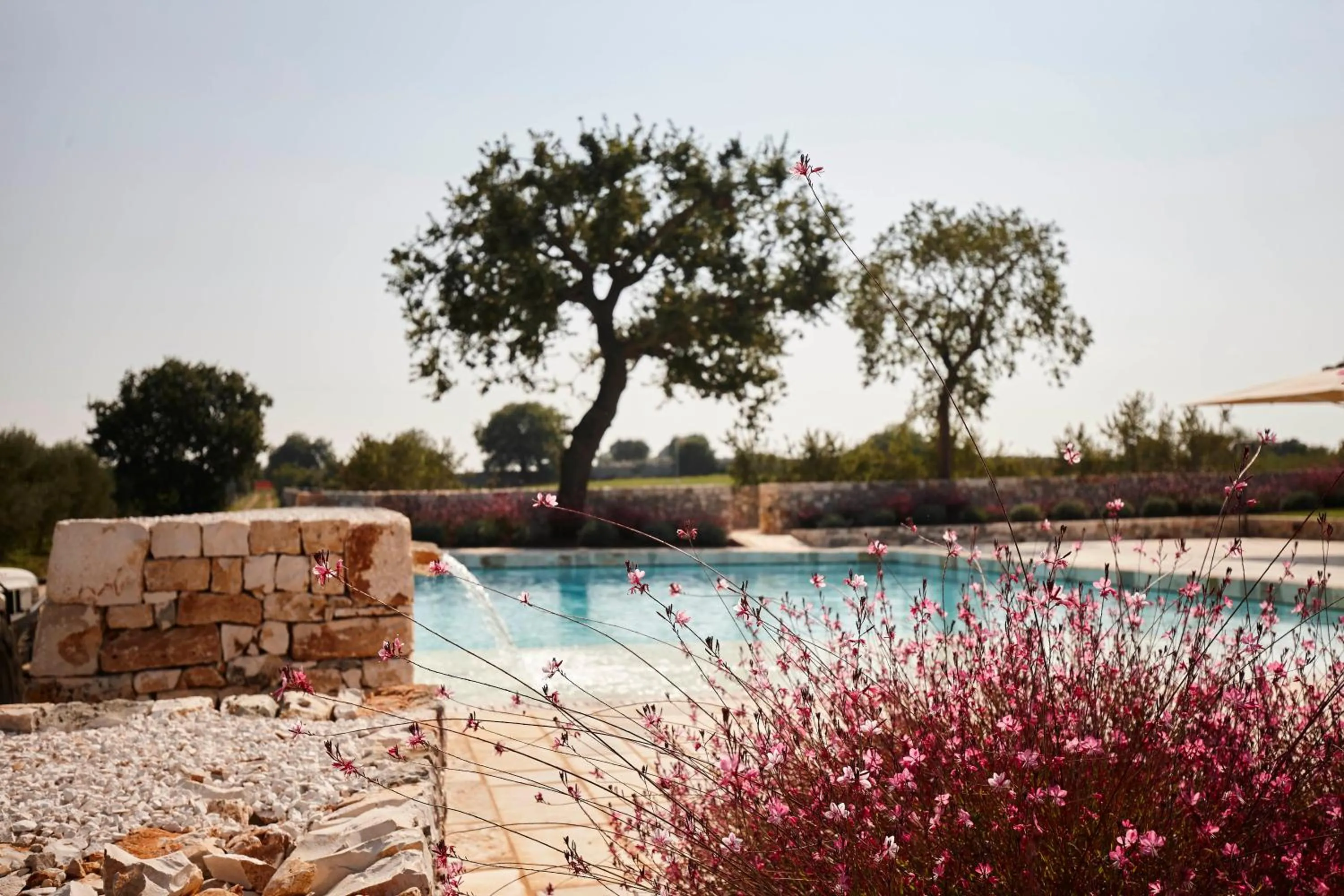 Natural landscape in Villa Torre Bianca by Emily Hotels