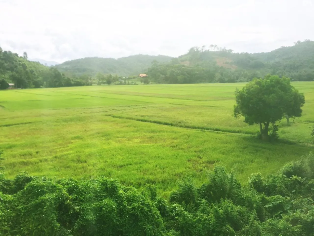 View (from property/room) in Anjung Villa